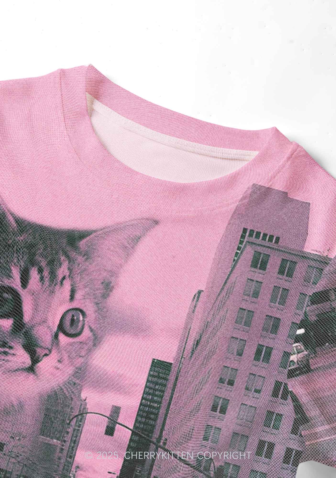 Cat Road Y2K Mesh Crop Top Cherrykitten