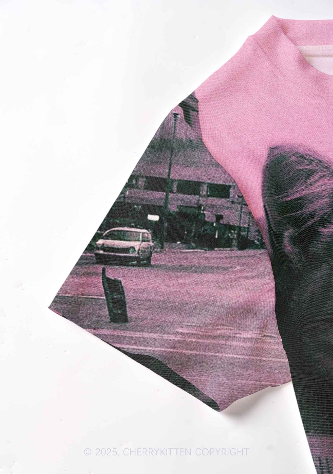 Cat Road Y2K Mesh Crop Top Cherrykitten