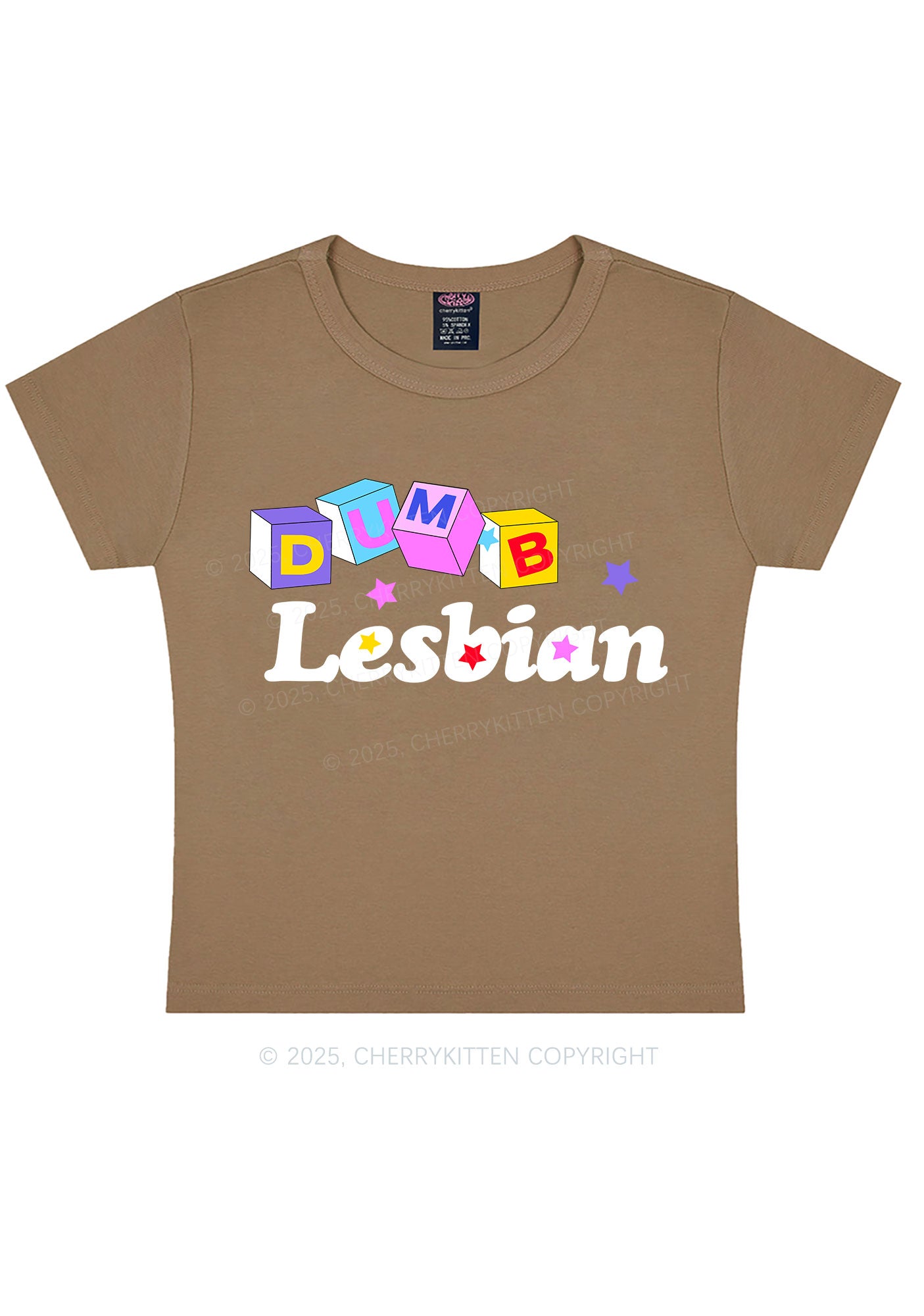 Dumb Lesbian Pride Y2K Baby Tee Cherrykitten