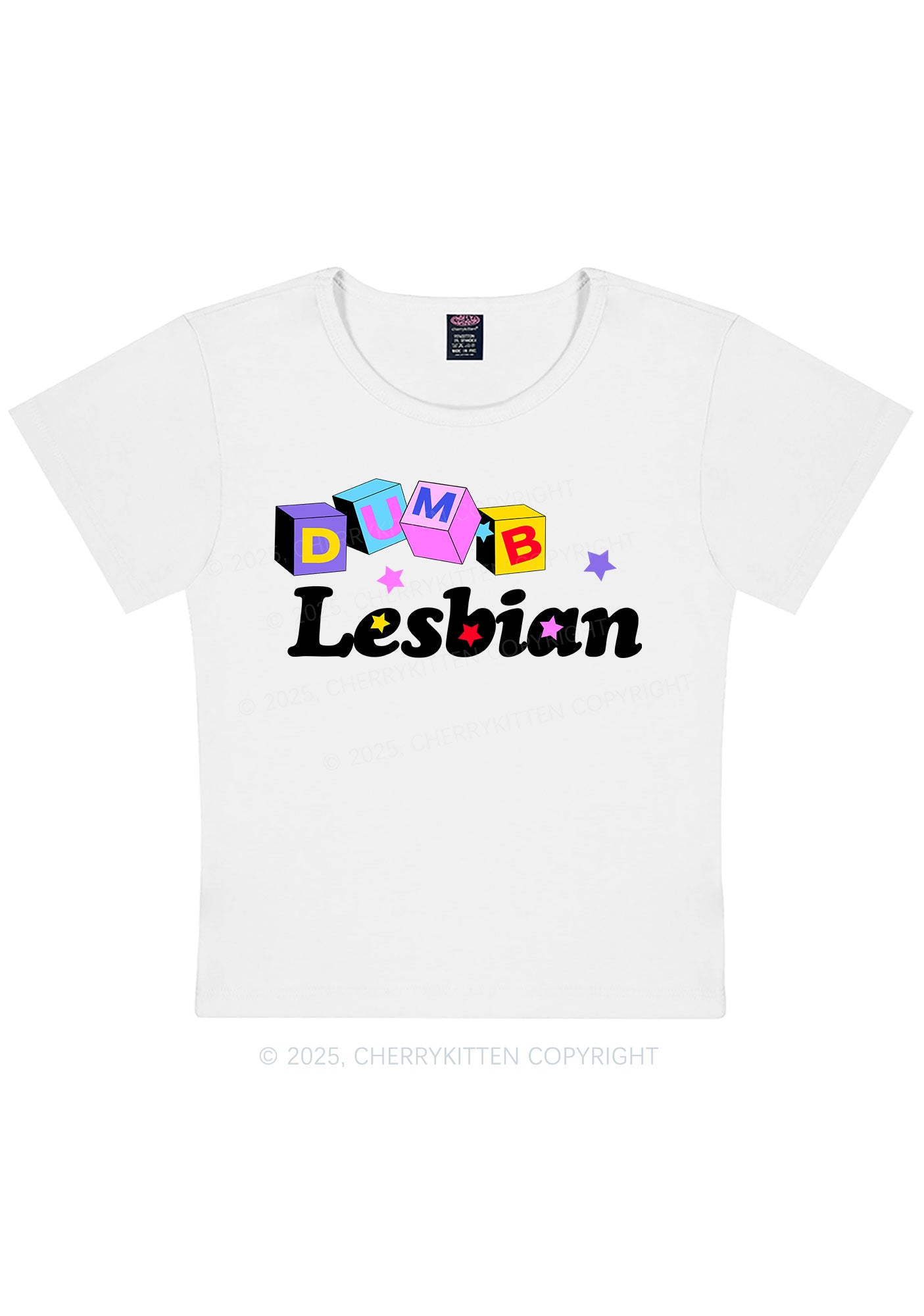 Dumb Lesbian Pride Y2K Baby Tee Cherrykitten