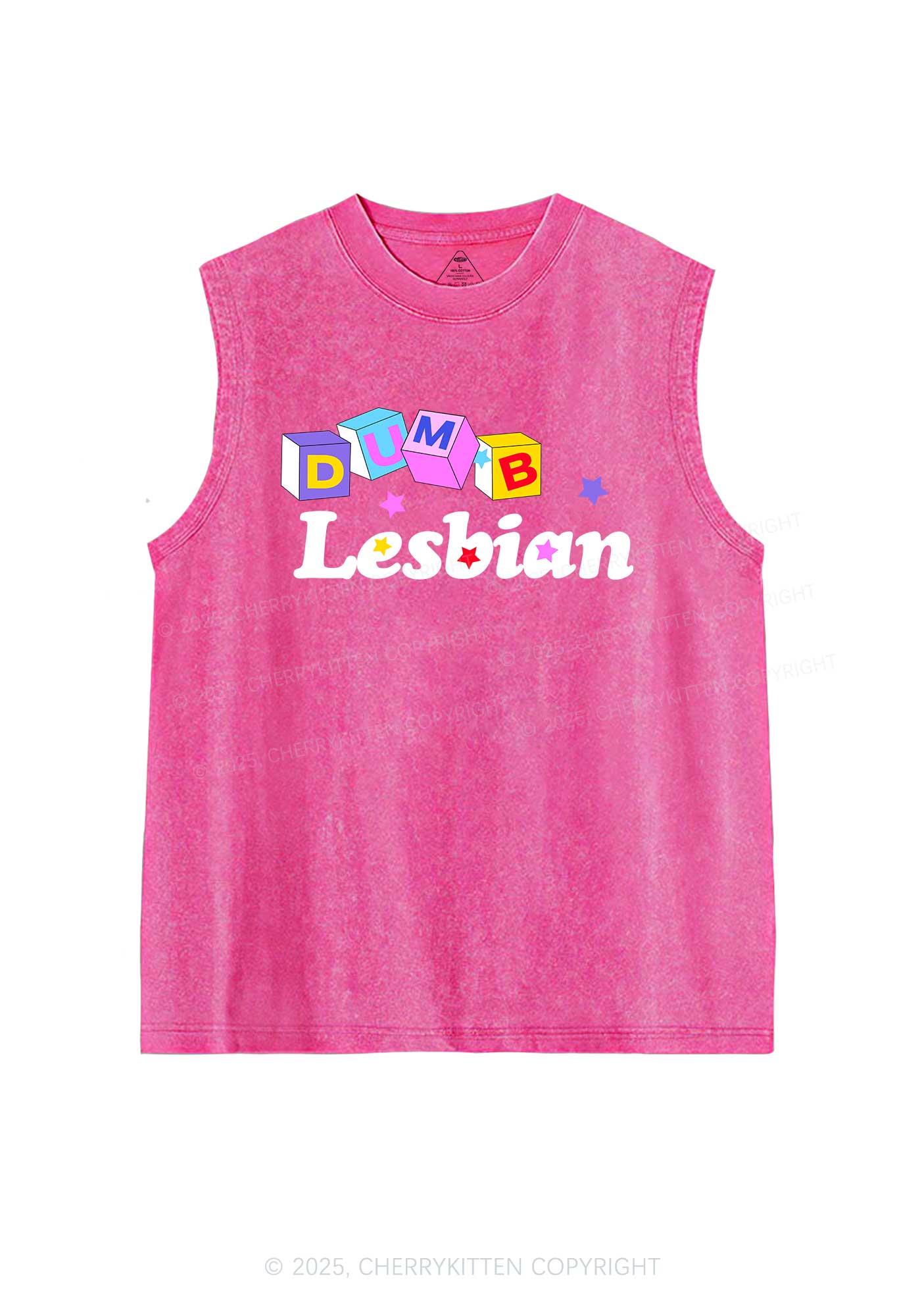 Dumb Lesbian Pride Y2K Washed Muscle Tank Cherrykitten