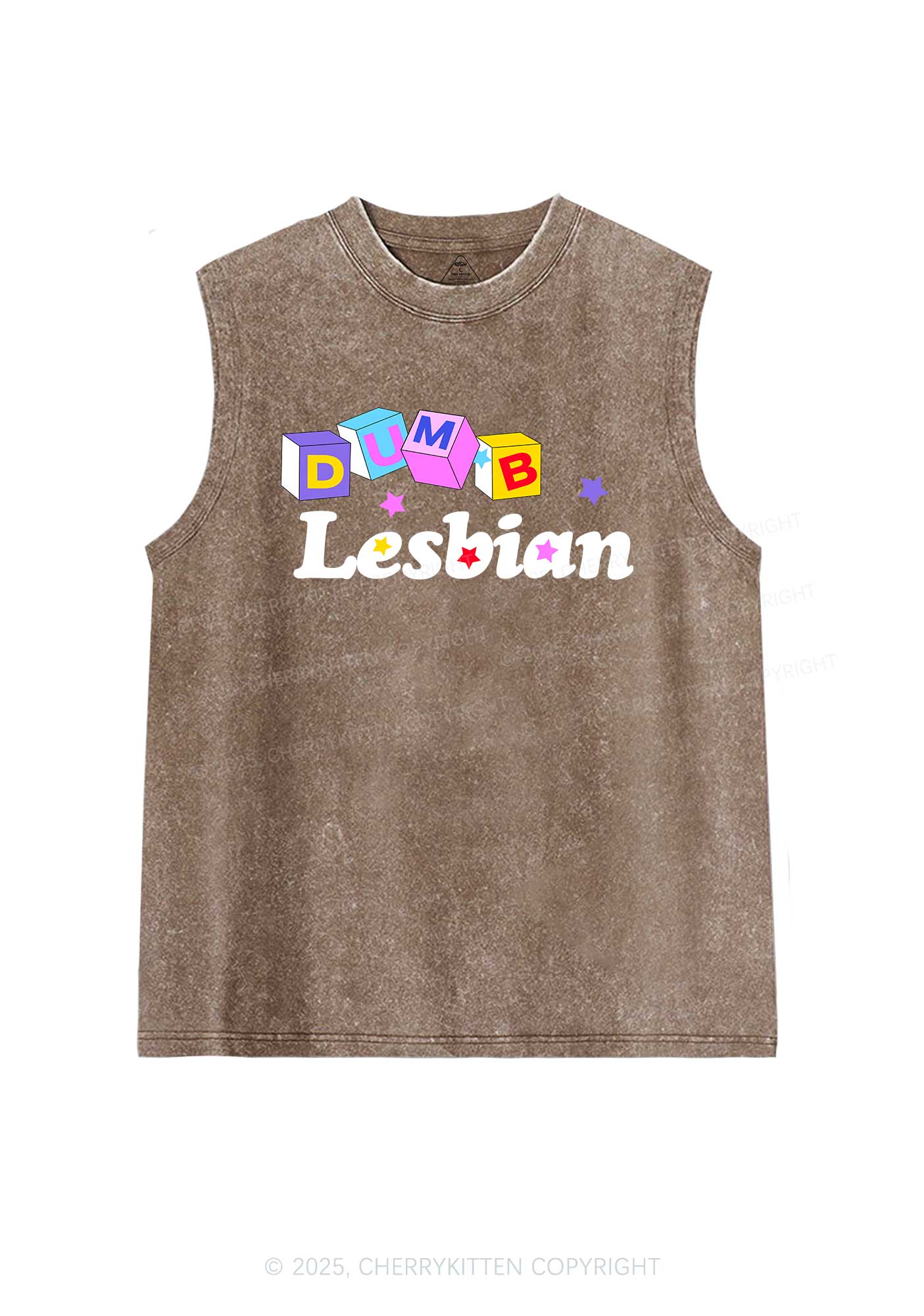 Dumb Lesbian Pride Y2K Washed Muscle Tank Cherrykitten