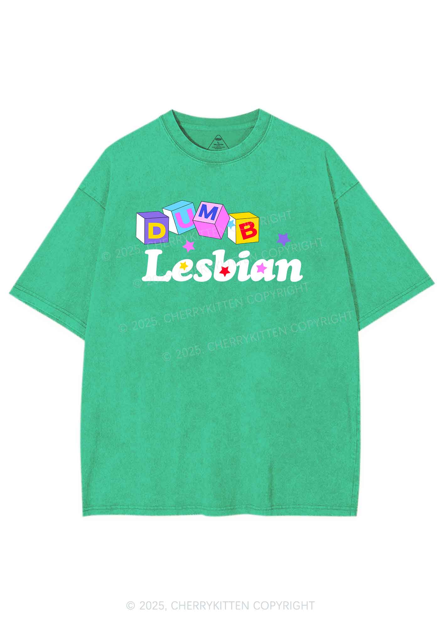 Dumb Lesbian Pride Y2K Shirts Washed Tee Cherrykitten