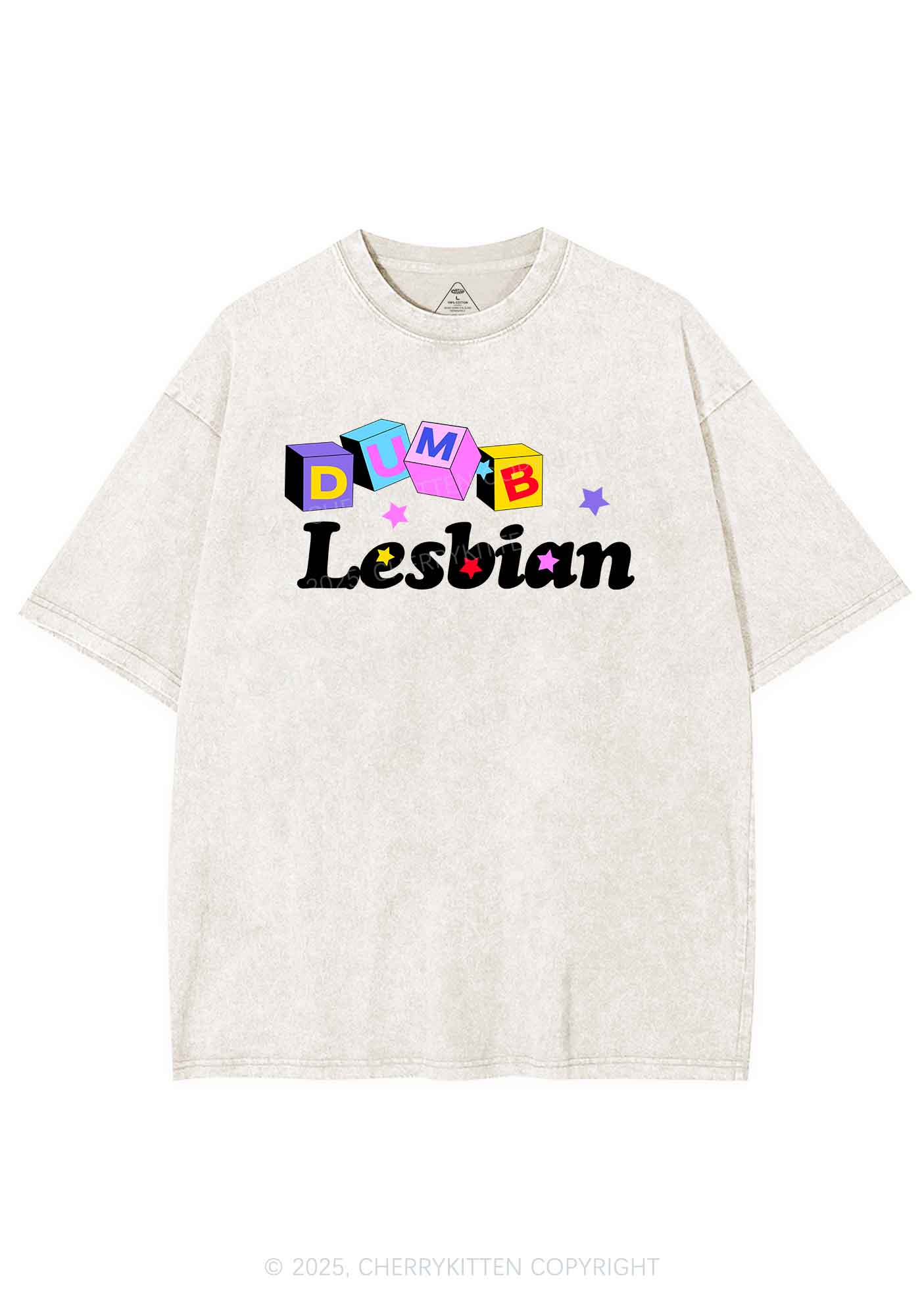 Dumb Lesbian Pride Y2K Shirts Washed Tee Cherrykitten