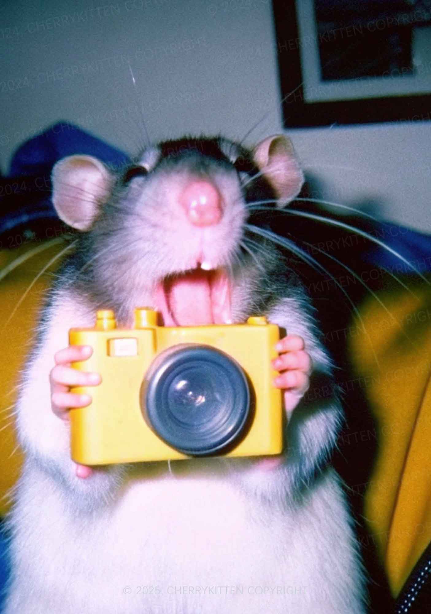 Rat Photography Y2K Print Cami Crop Top Cherrykitten