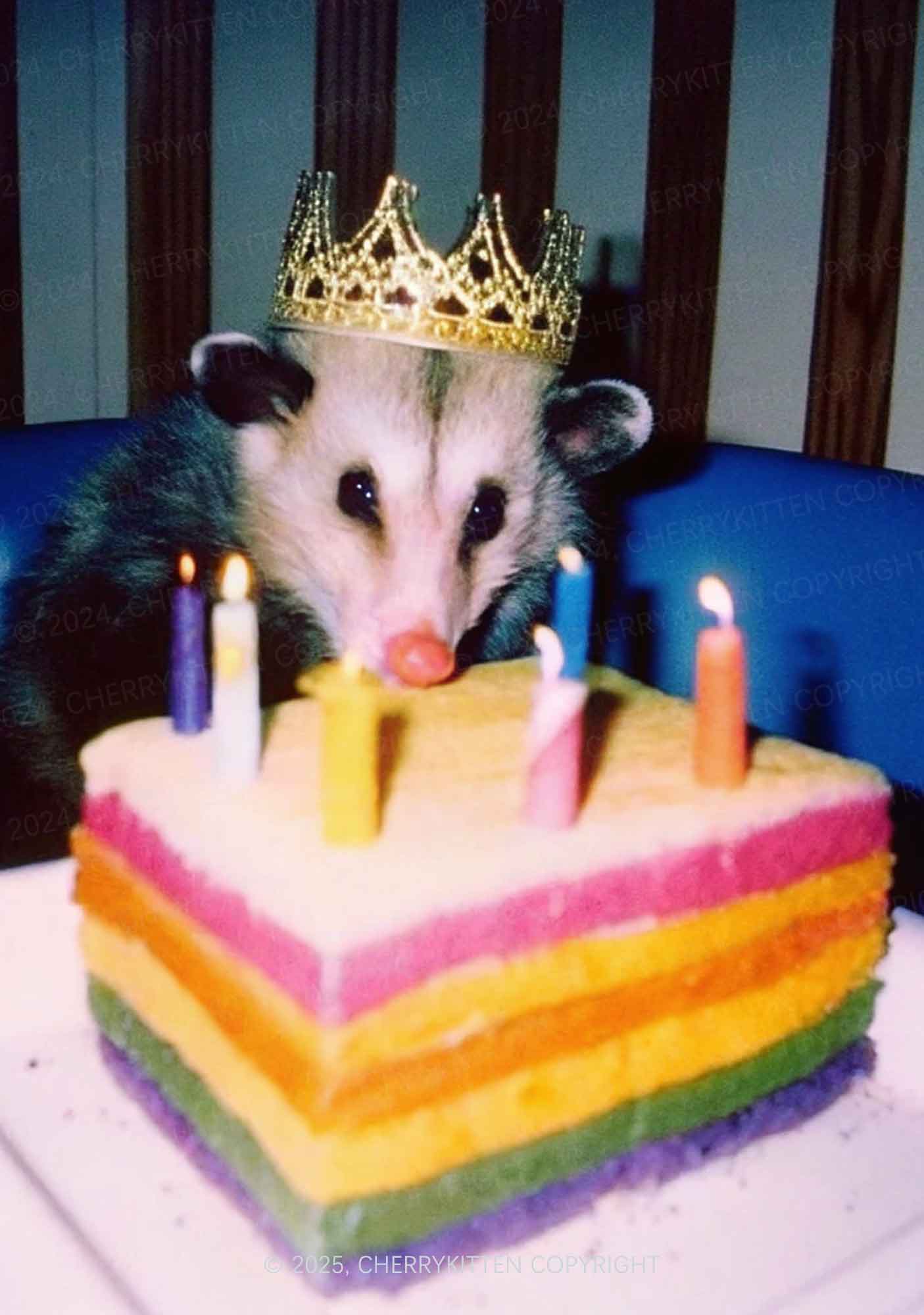 Birthday Possum Y2K Print Cami Crop Top Cherrykitten