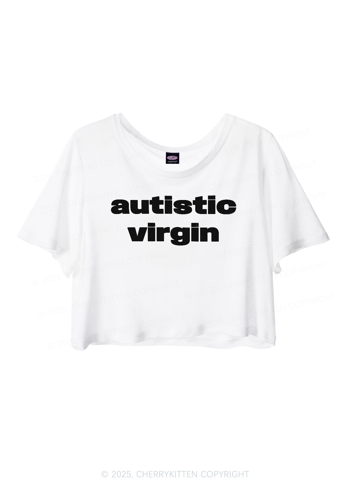 Autistic Virgin Y2K Sheer Crop Tee Cherrykitten