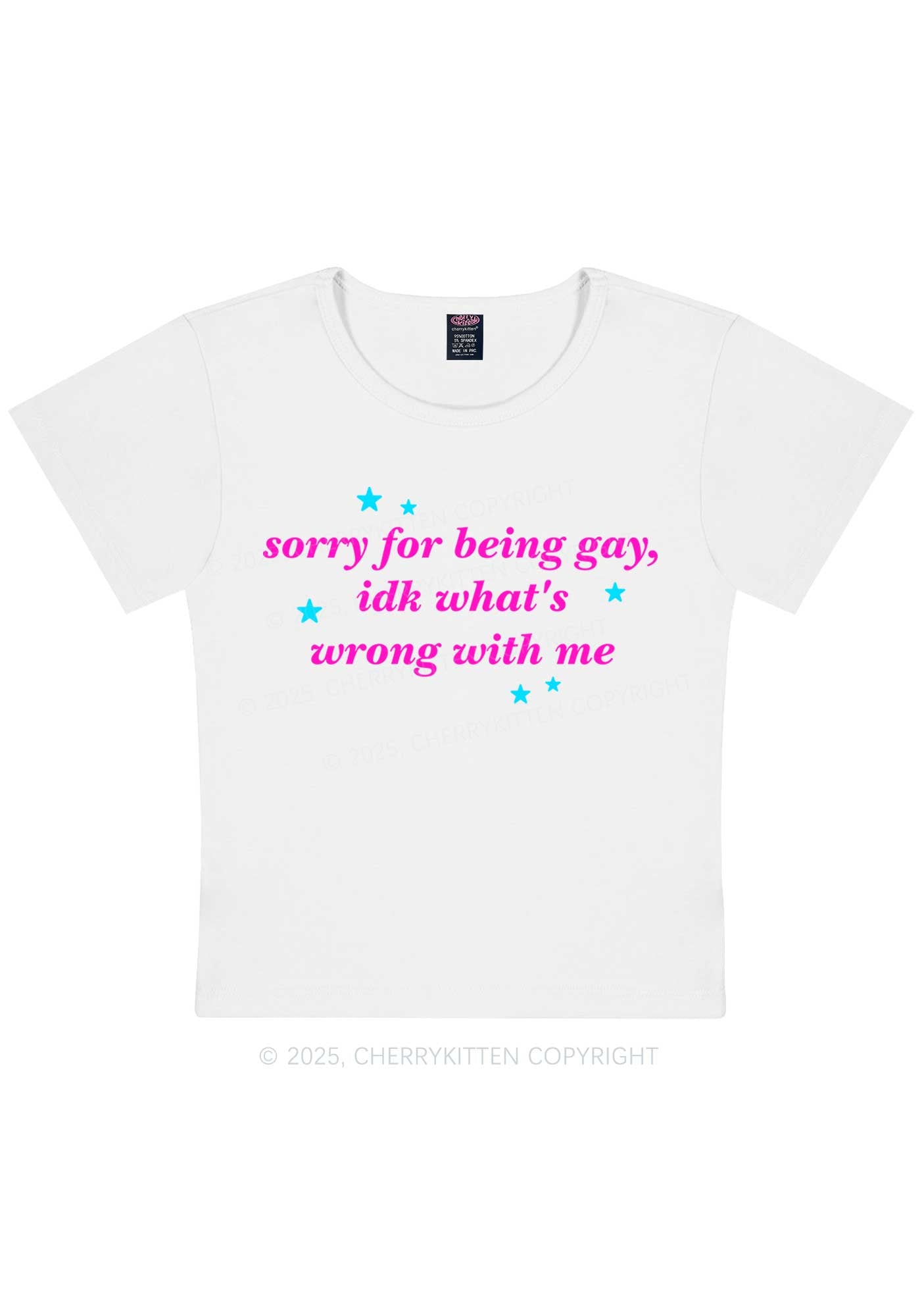 Sorry For Being Gay Pride Y2K Baby Tee Cherrykitten