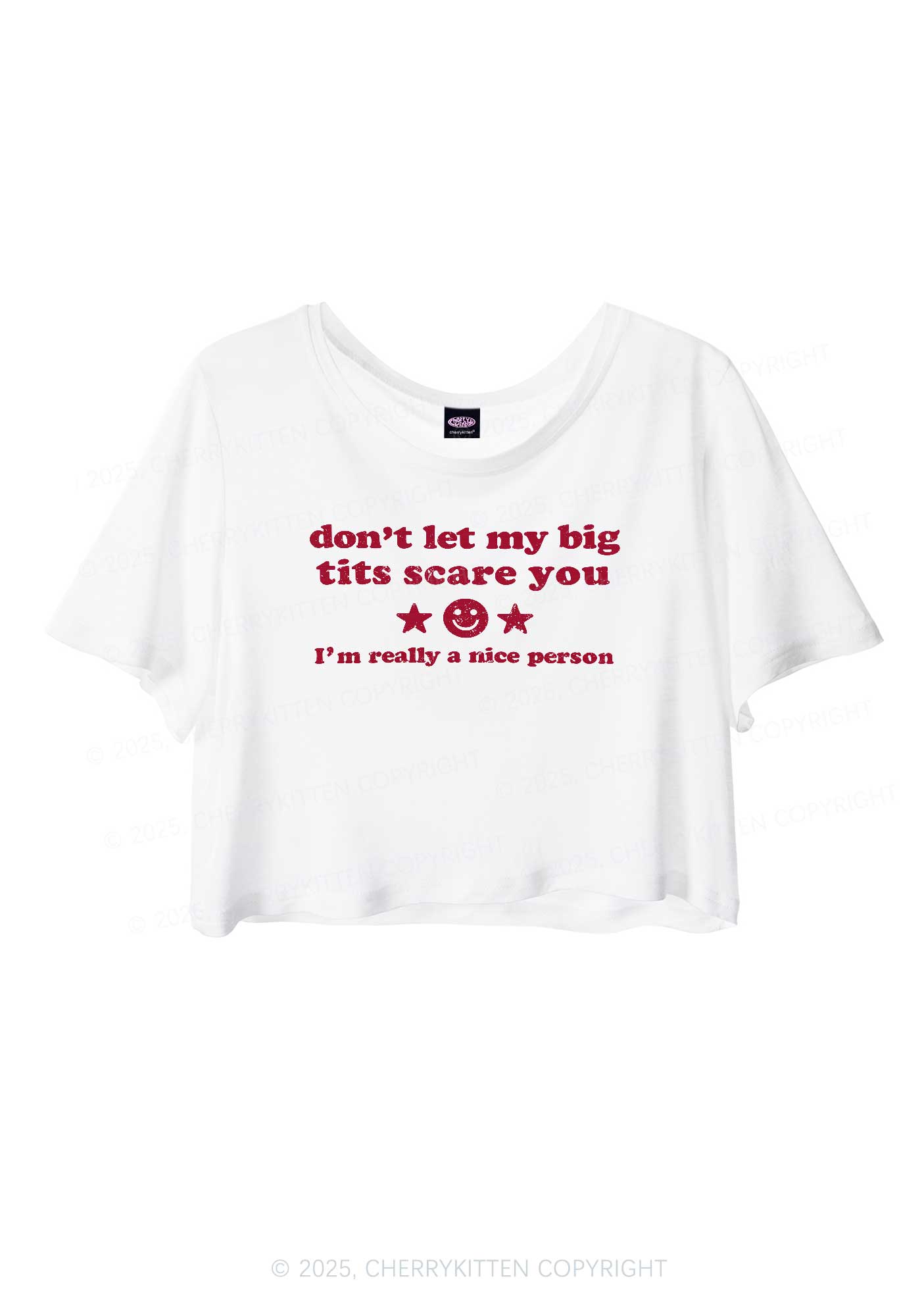 Don't Let My Big Txts Scare You Y2K Sheer Crop Tee Cherrykitten