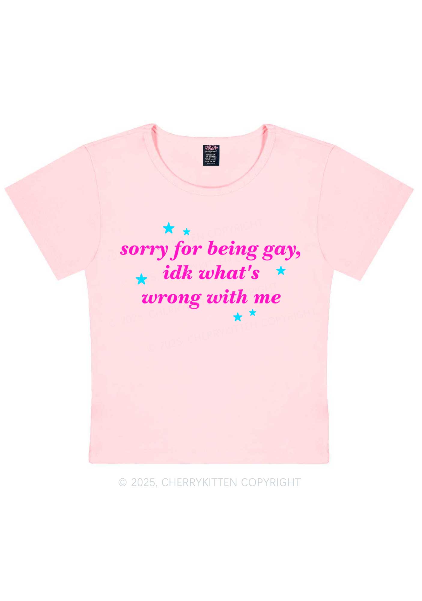 Sorry For Being Gay Pride Y2K Baby Tee Cherrykitten