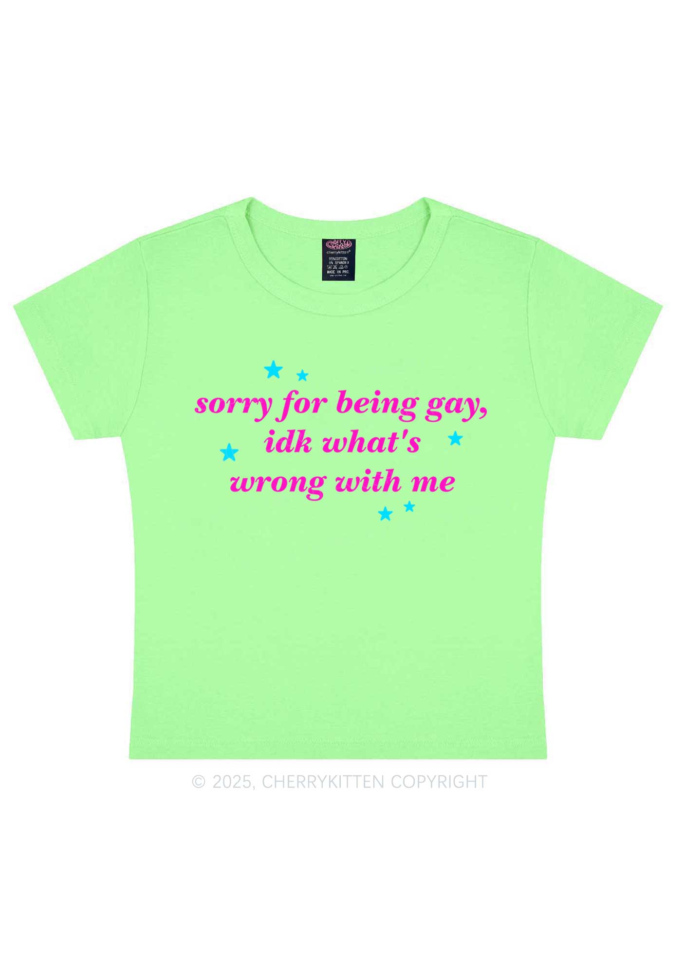 Sorry For Being Gay Pride Y2K Baby Tee Cherrykitten