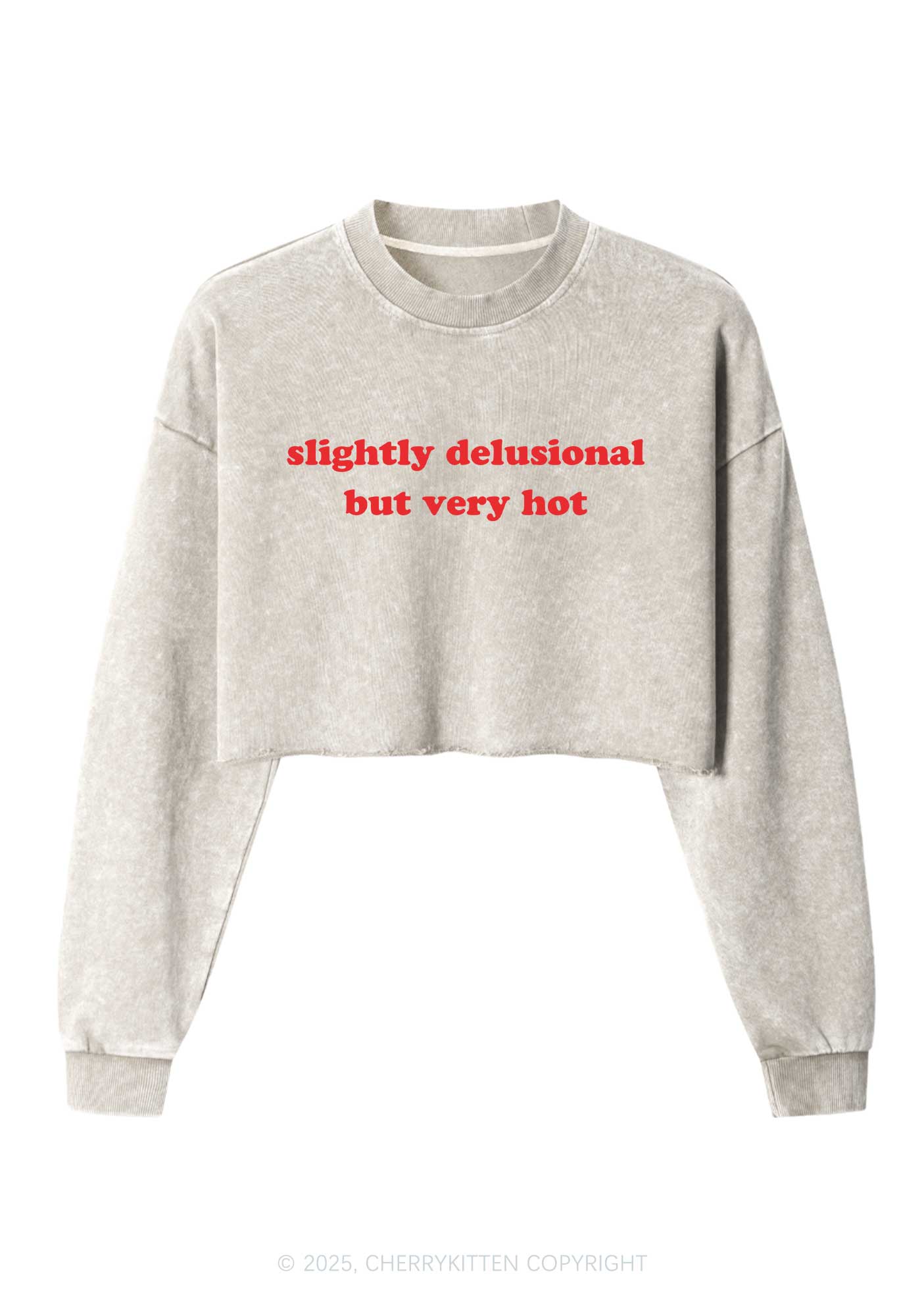 Slightly Delusional But Very Hot Y2K Crop Washed Sweatshirts Cherrykitten