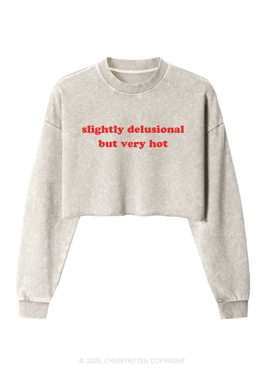Slightly Delusional But Very Hot Y2K Crop Washed Sweatshirts Cherrykitten