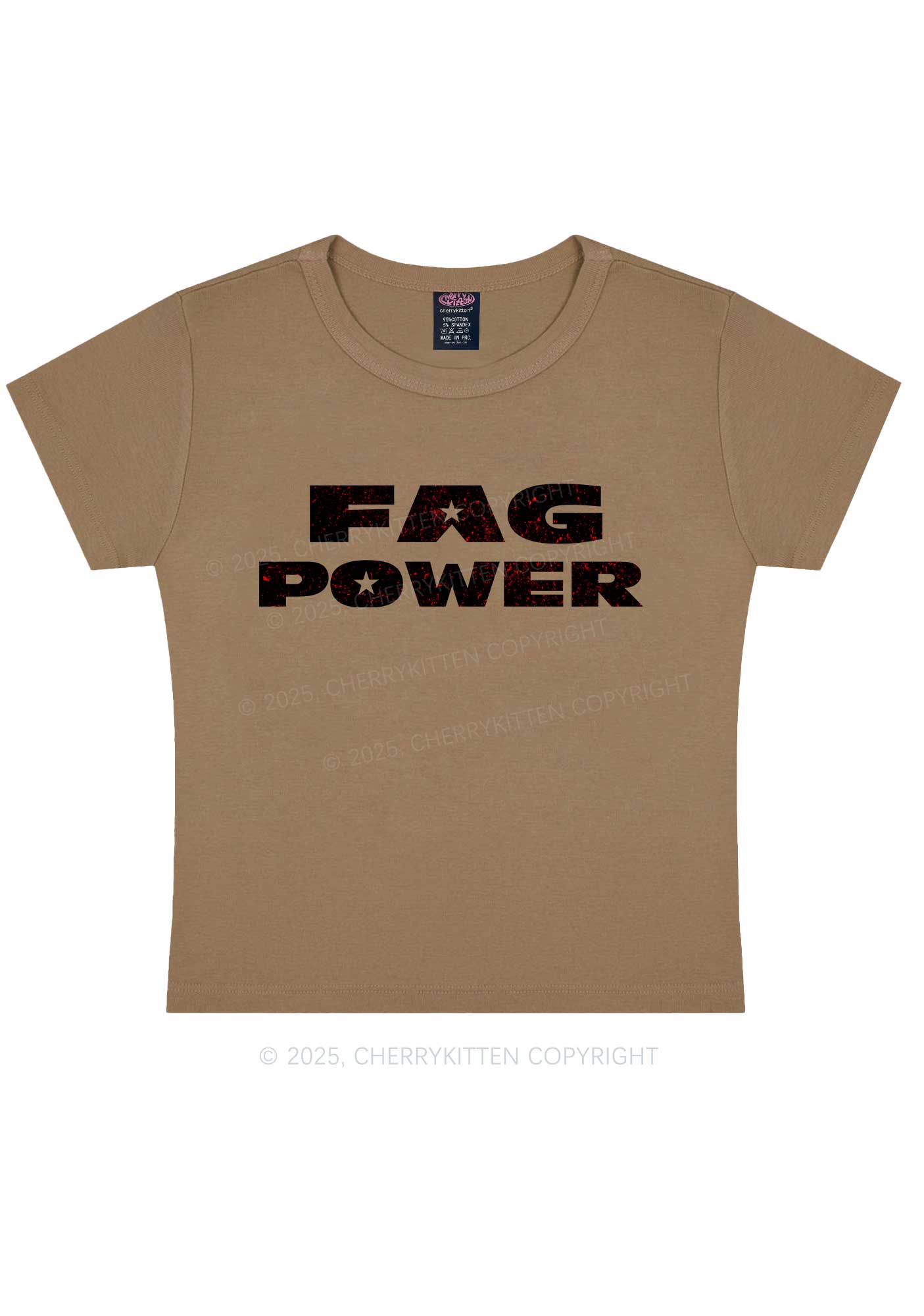 Fag Power Pride Y2K Baby Tee Cherrykitten