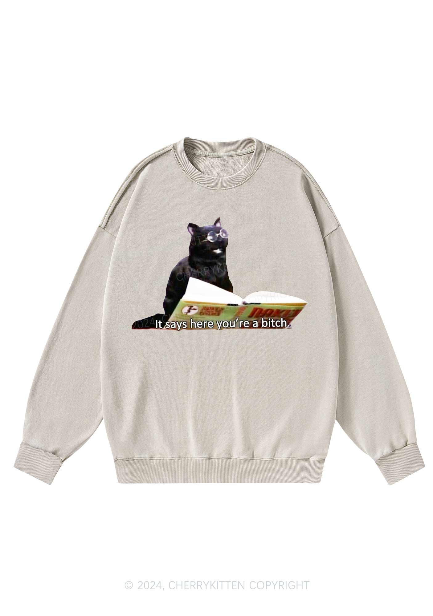 It Says Here You're A Bixxh Y2K Washed Sweatshirts Cherrykitten