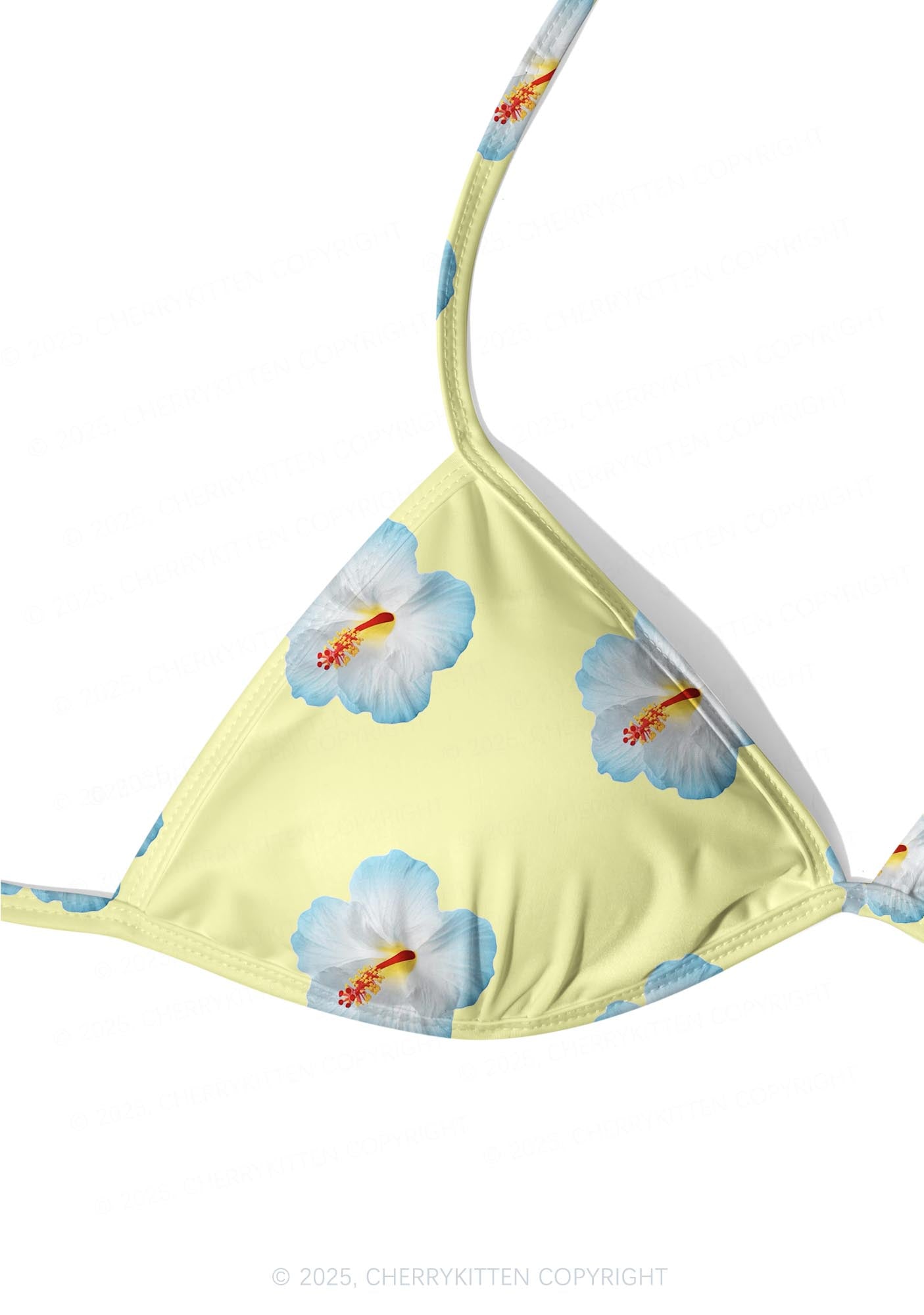 Blue Flowers Y2K Print Bikini Set Cherrykitten