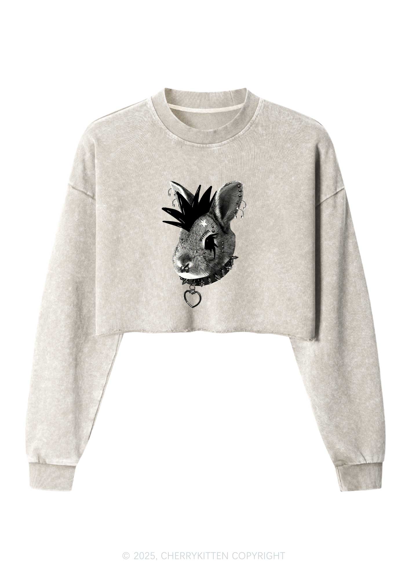 Custom Punk Pet Y2K Crop Washed Sweatshirts Cherrykitten
