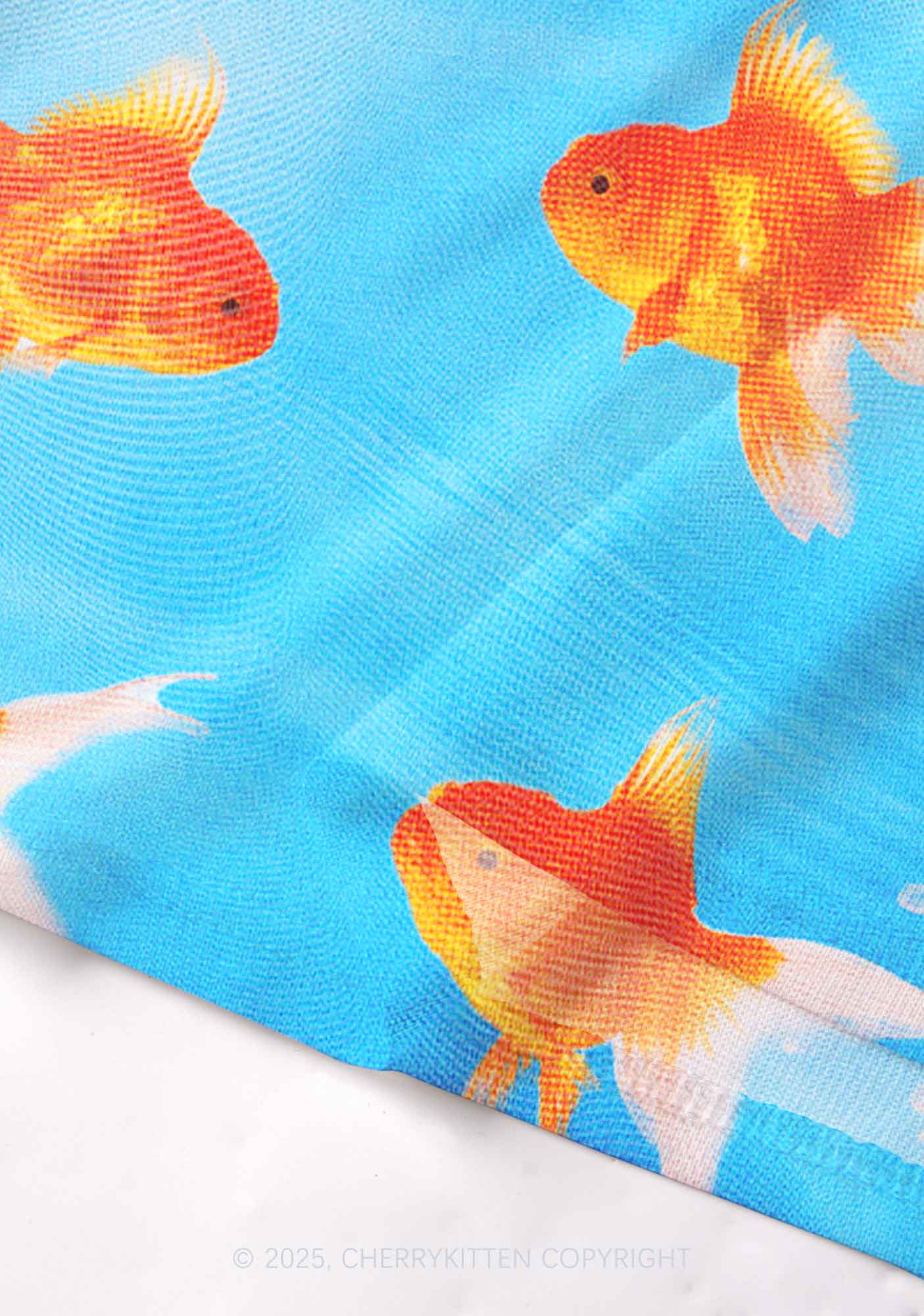 Goldfish Y2K Mesh Long Sleeve Crop Top Cherrykitten