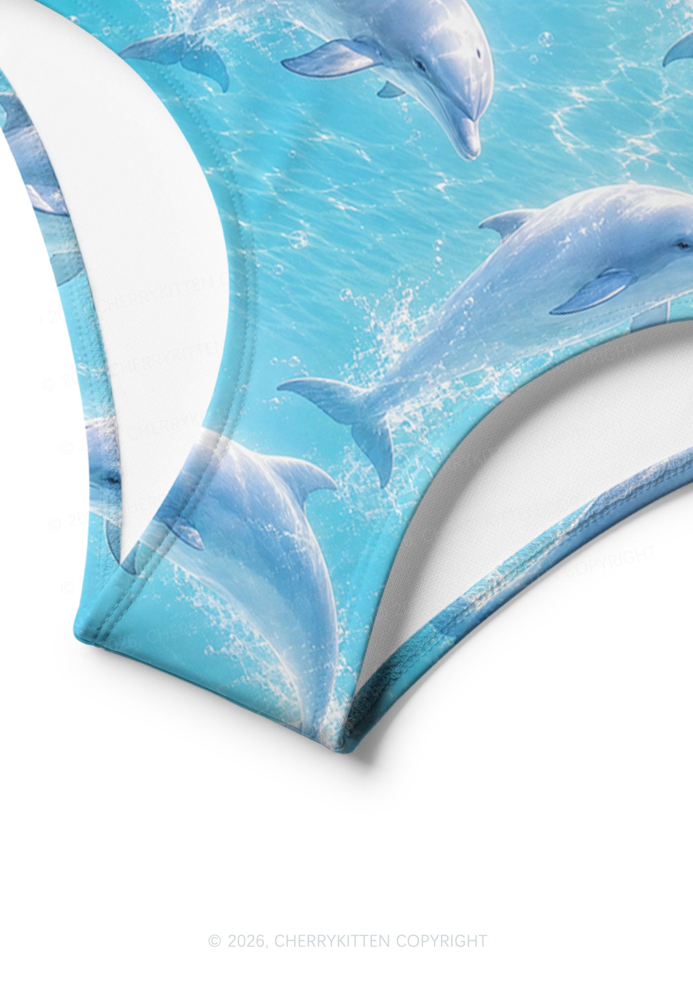 Blue Dolphin Y2K Print Bikini Set Cherrykitten