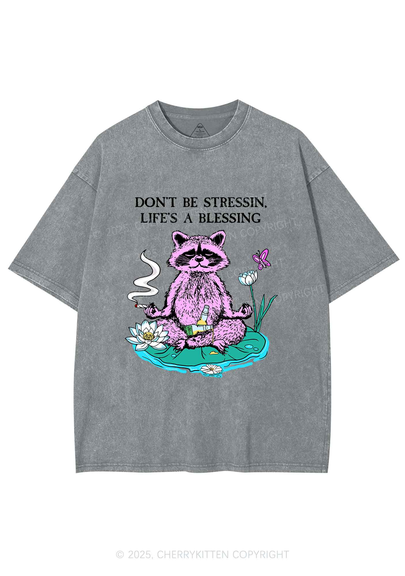 Dont Stress Raccoon Y2K Shirts Washed Tee Cherrykitten