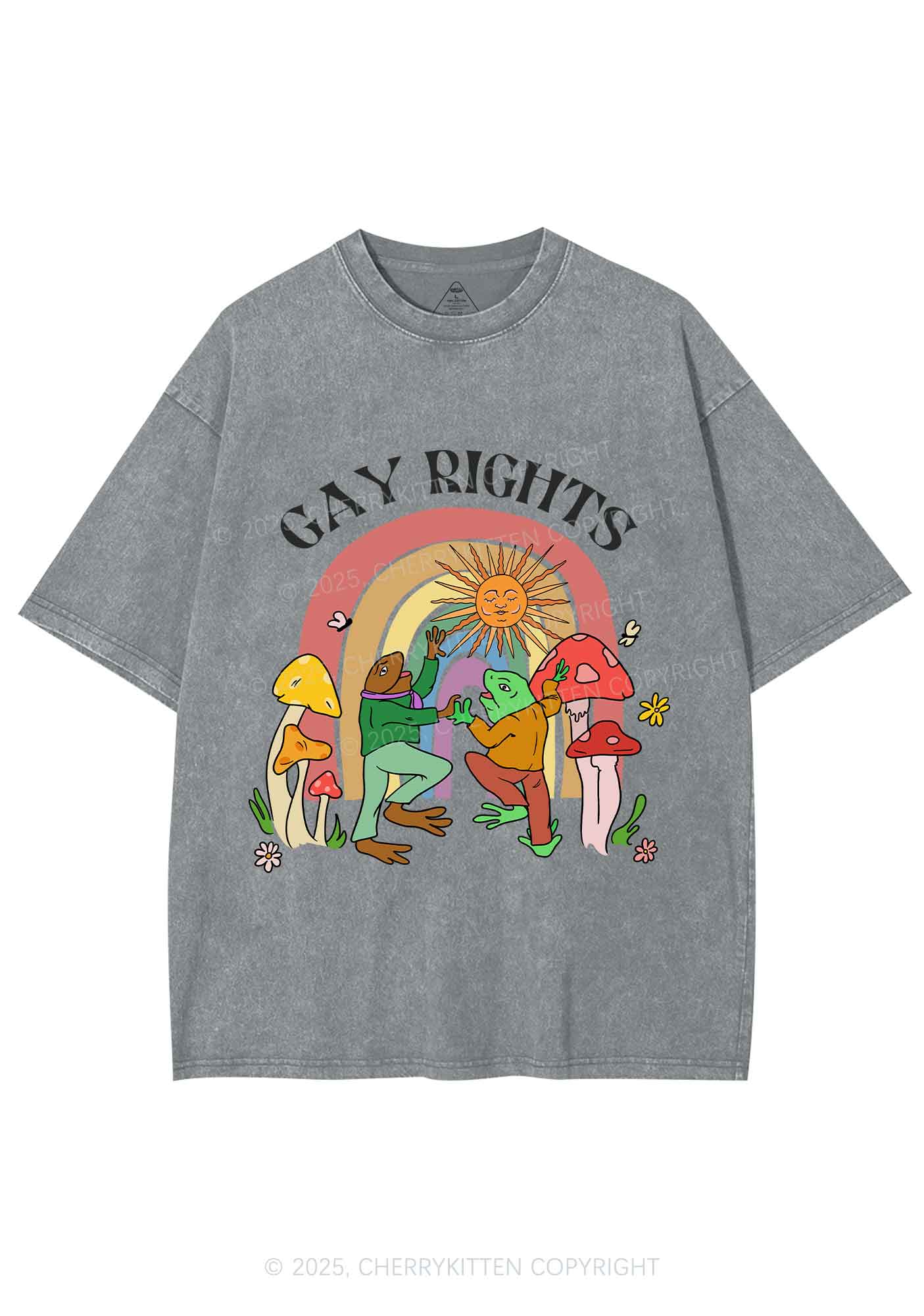 Gay Rights Pride Y2K Shirts Washed Tee Cherrykitten