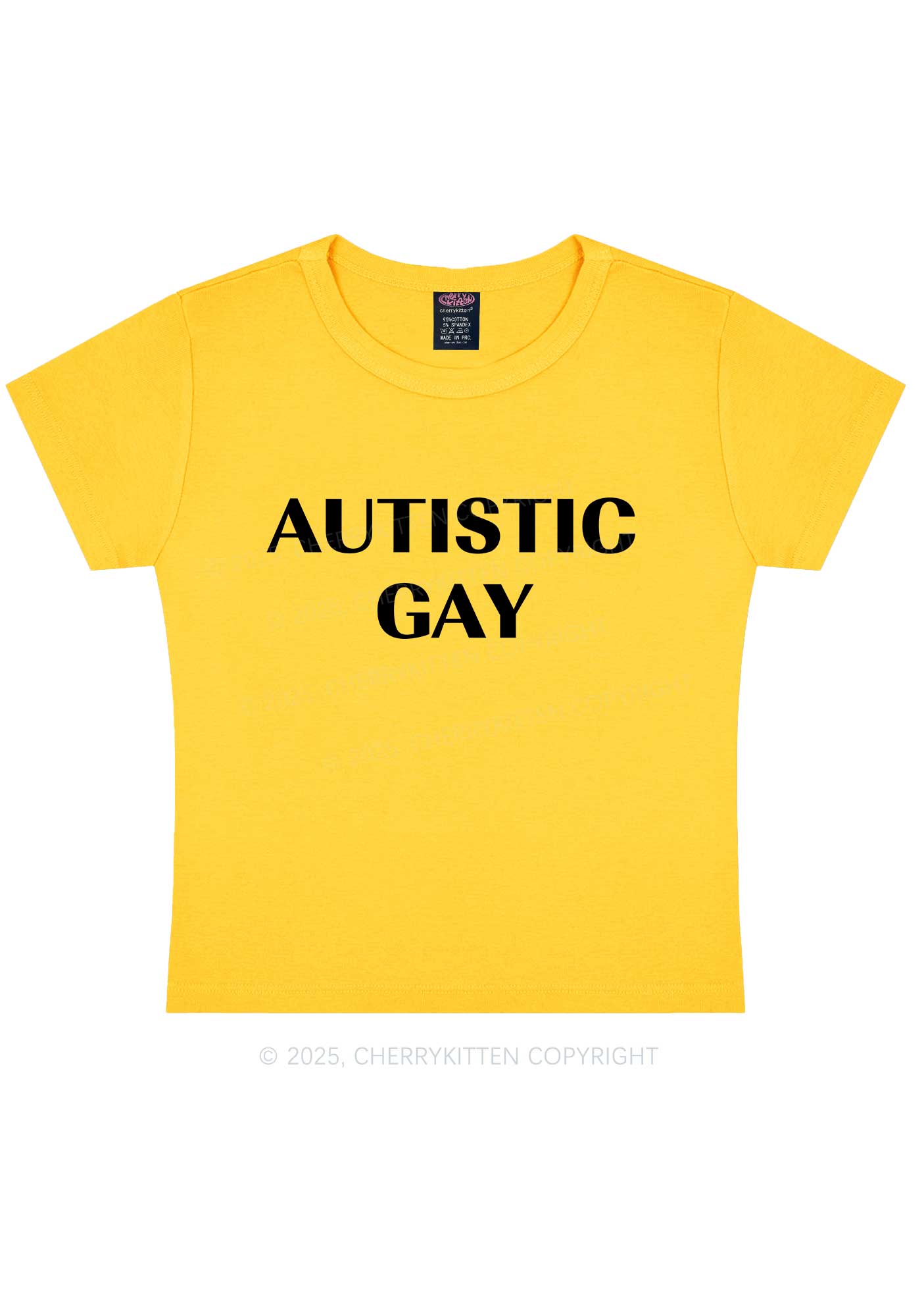 Autistic Gay Pride Y2K Baby Tee Cherrykitten