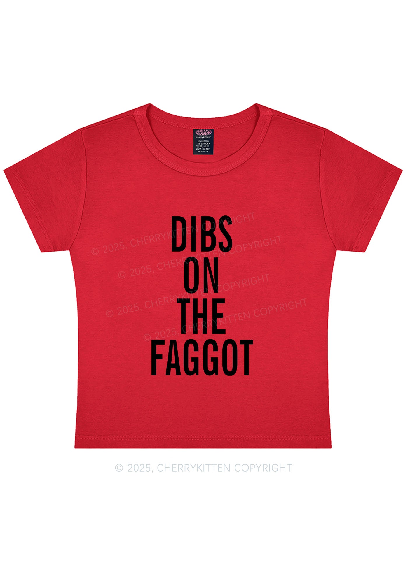 Dibs On The Faggot Pride Y2K Baby Tee Cherrykitten