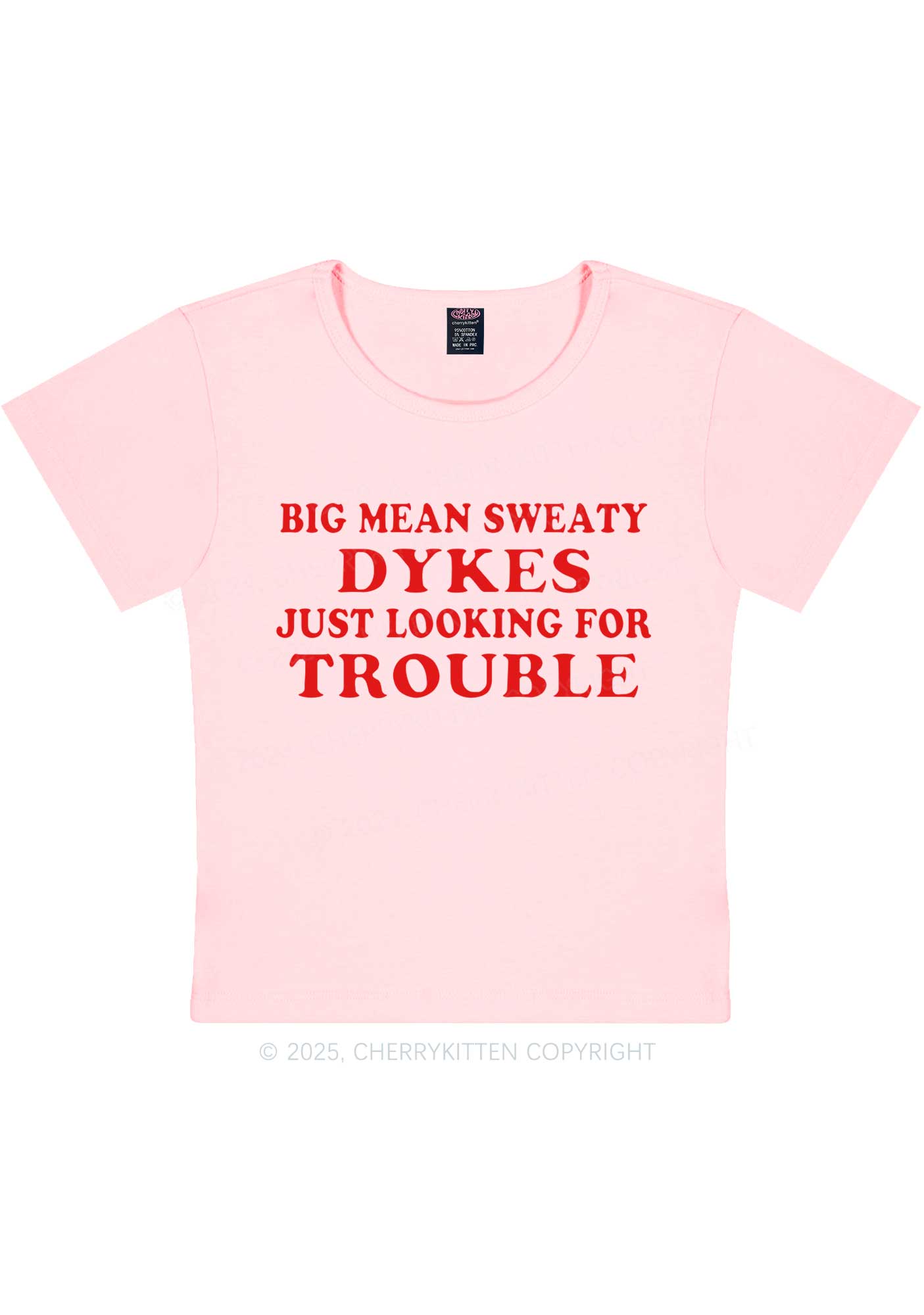 Dykes Trouble Y2K Baby Tee Cherrykitten