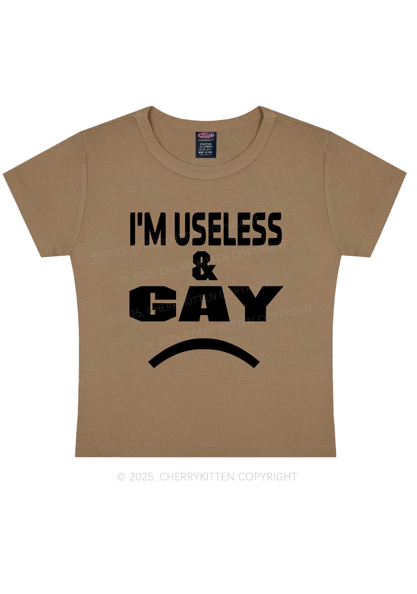Useless Gay Pride Y2K Baby Tee Cherrykitten