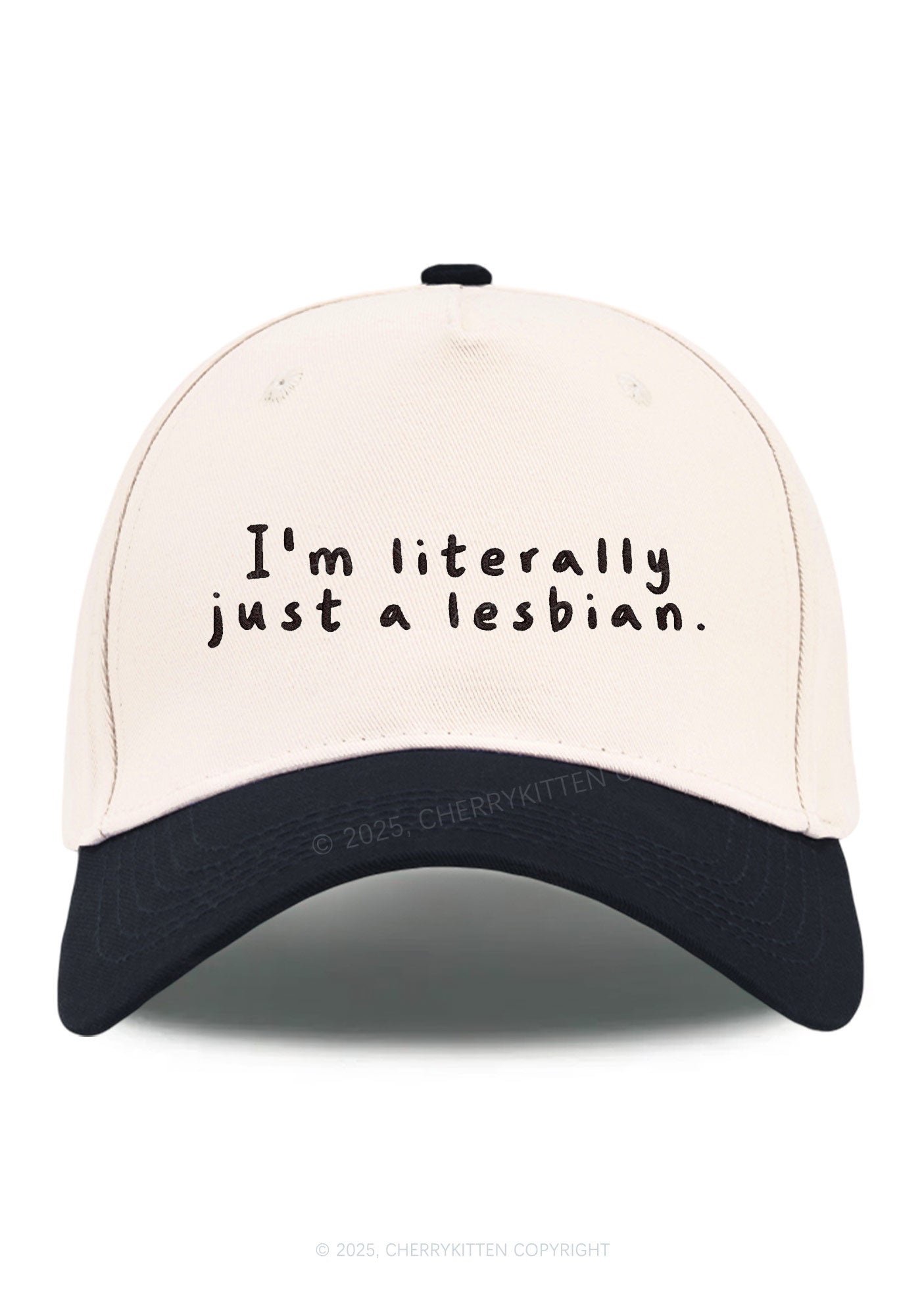 Embroidered Just A Lesbian Pride Y2K Color Block Baseball Cap Cherrykitten