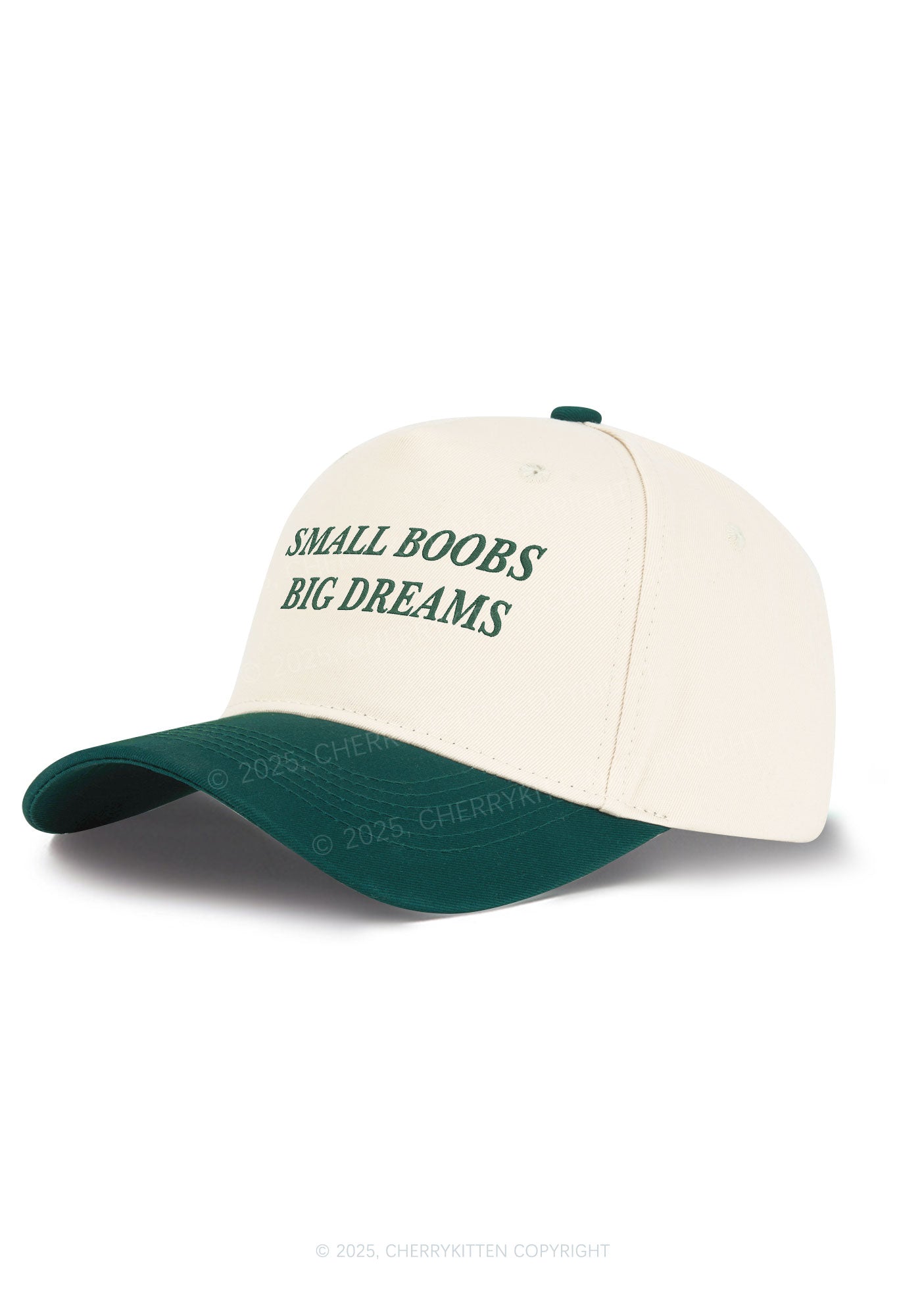 Embroidered Small But Big Dreams Y2K Color Block Baseball Cap Cherrykitten