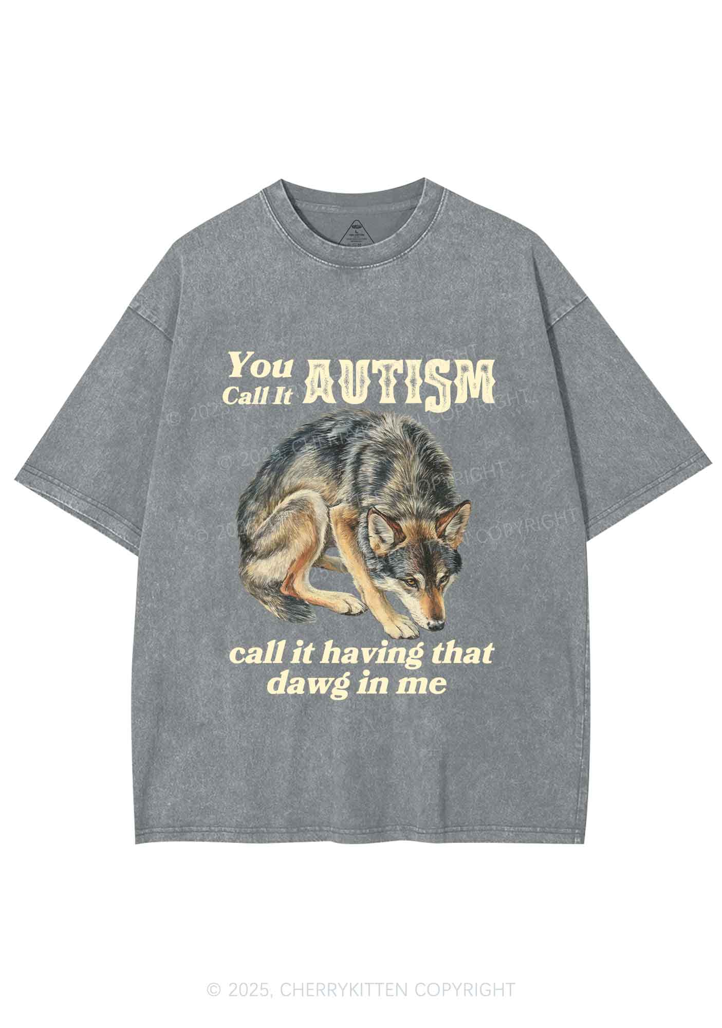 You Call It Autism Y2K Shirts Washed Tee Cherrykitten