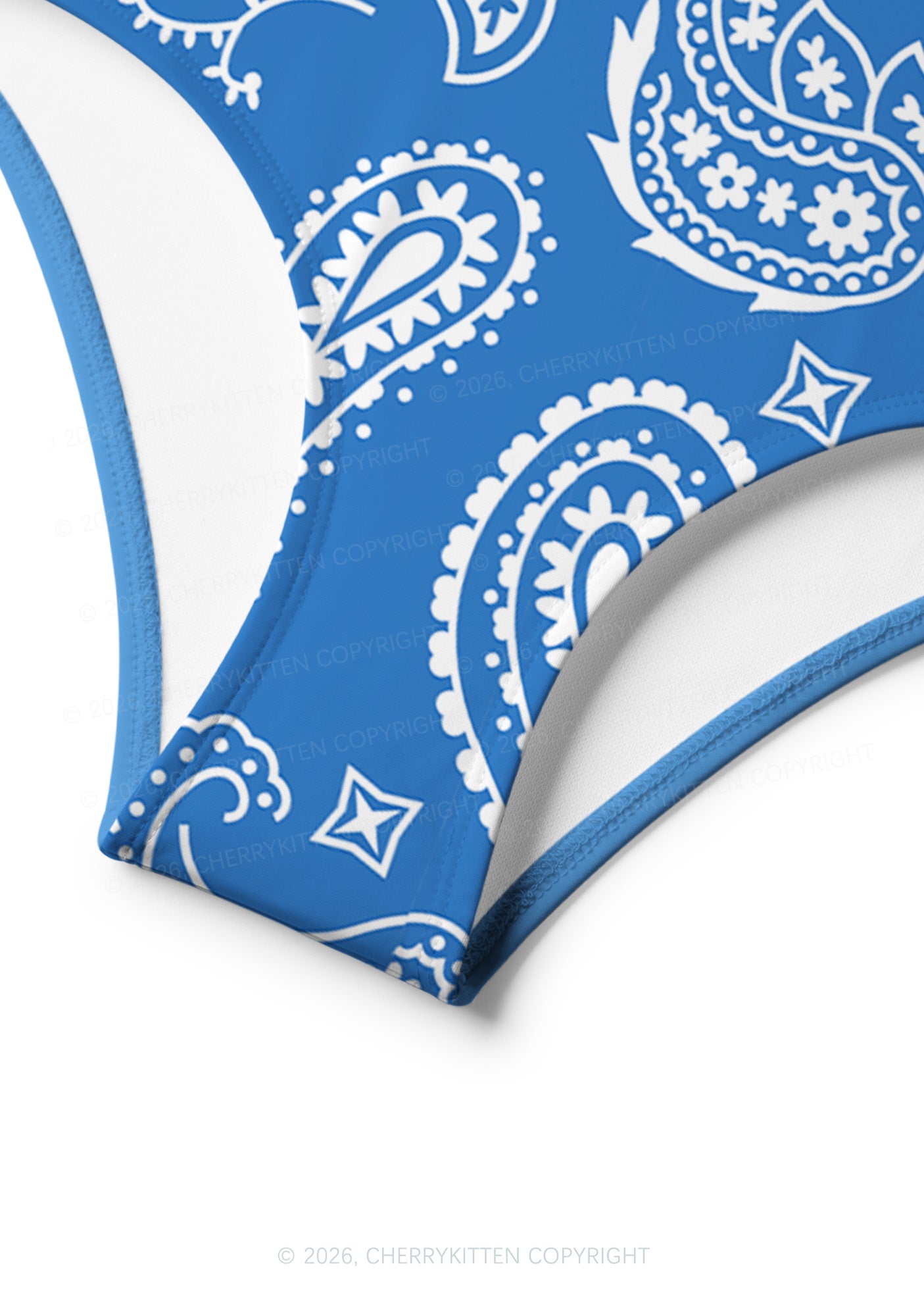 Blue Paisley Y2K Print Bikini Set Cherrykitten
