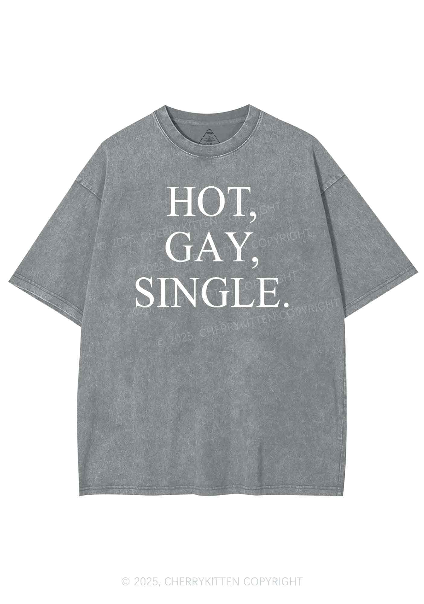 Hot Gay Single Pride Y2K Shirts Washed Tee Cherrykitten