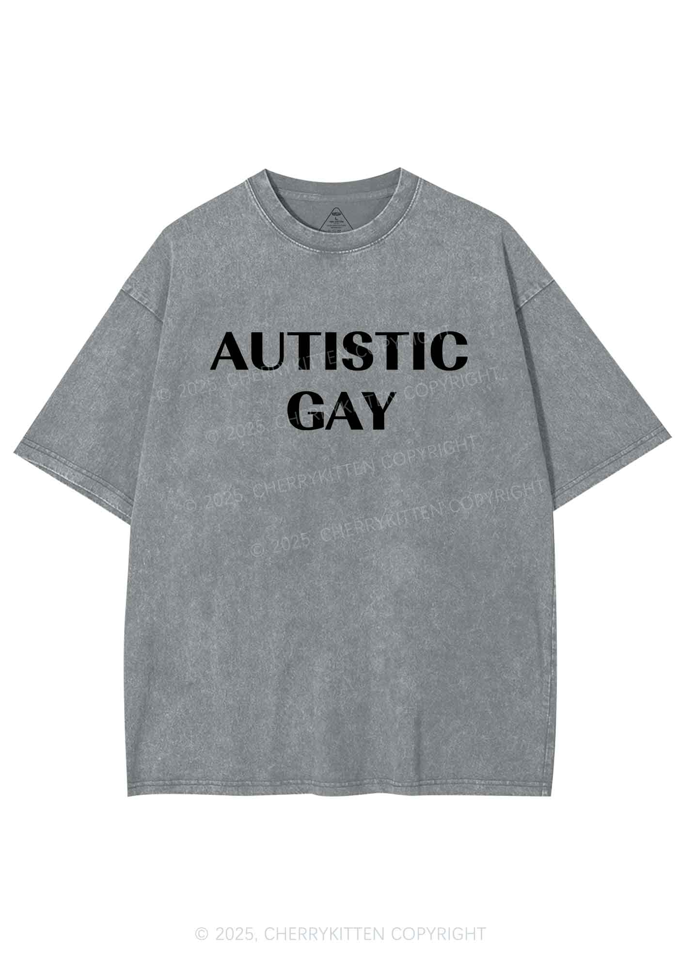 Autistic Gay Pride Y2K Shirts Washed Tee Cherrykitten