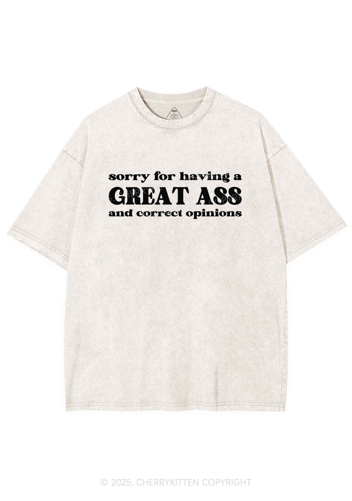 Sorry For Having Great Axx Y2K Shirts Washed Tee Cherrykitten