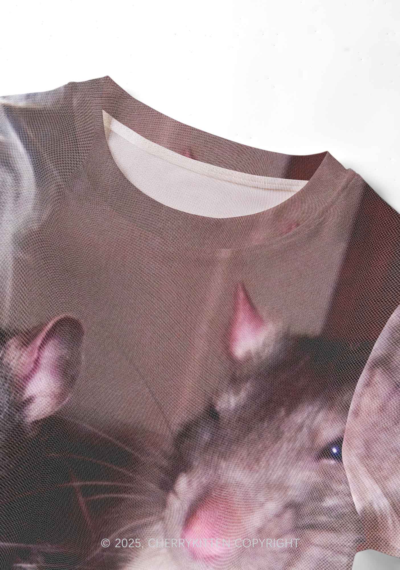 Smoking Rats Y2K Mesh Crop Top Cherrykitten