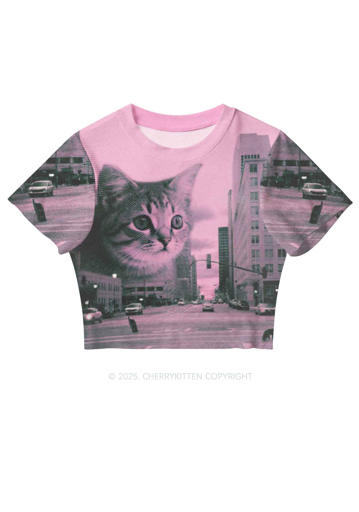 Cat Road Y2K Mesh Crop Top Cherrykitten