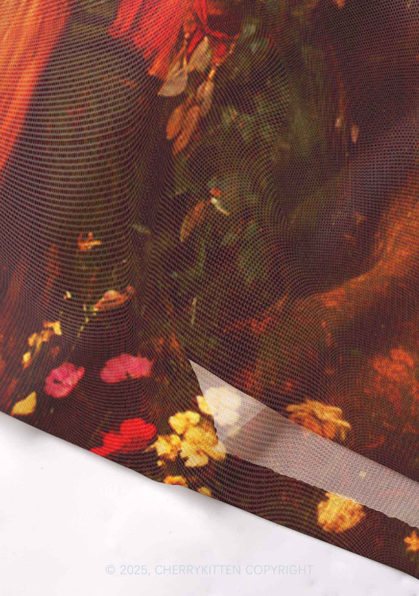 The Lesbians Pride Y2K Mesh Long Sleeve Crop Top Cherrykitten
