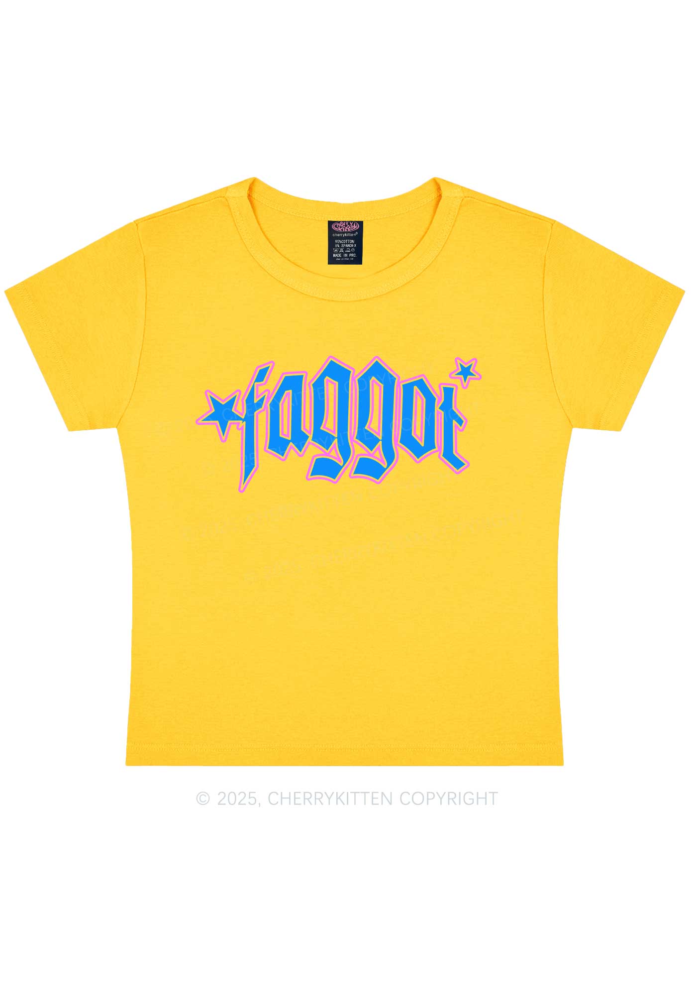 Faggot Stars Pride Y2K Baby Tee Cherrykitten