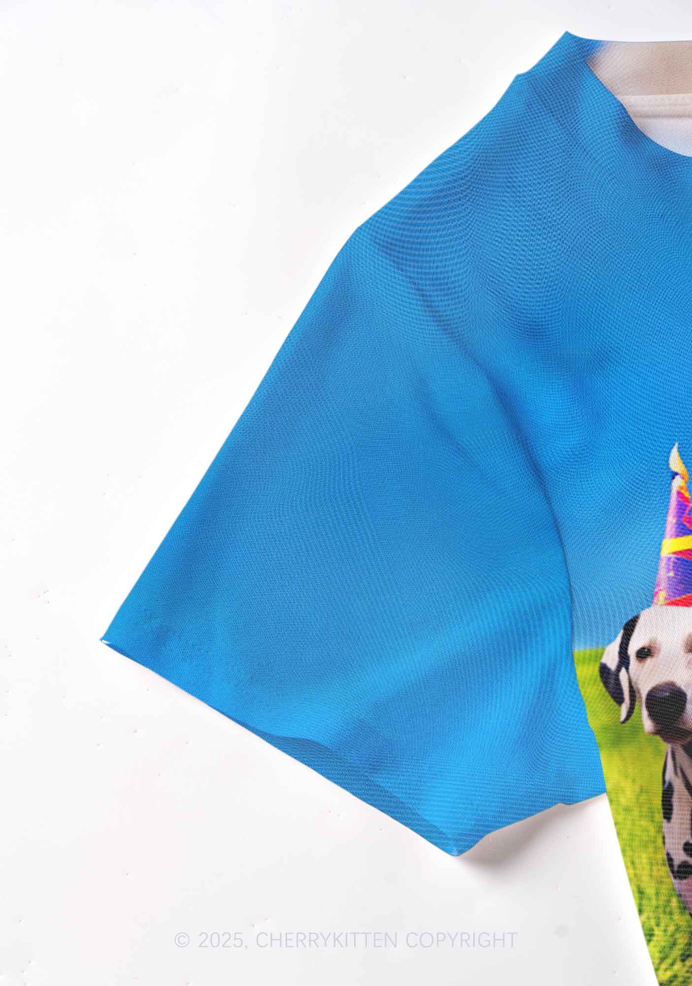 Dogs Birthday Party Y2K Mesh Crop Top Cherrykitten