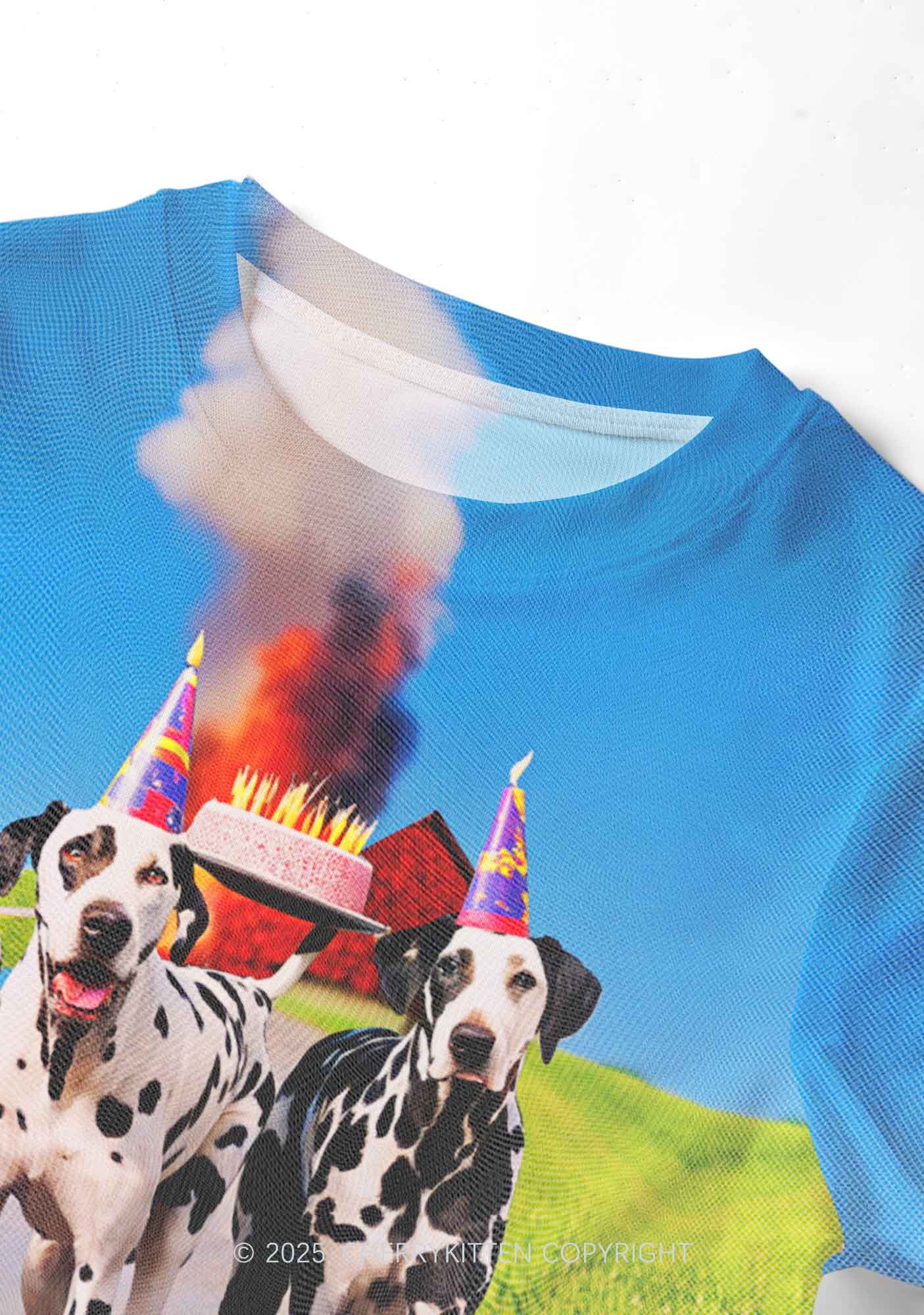 Dogs Birthday Party Y2K Mesh Crop Top Cherrykitten