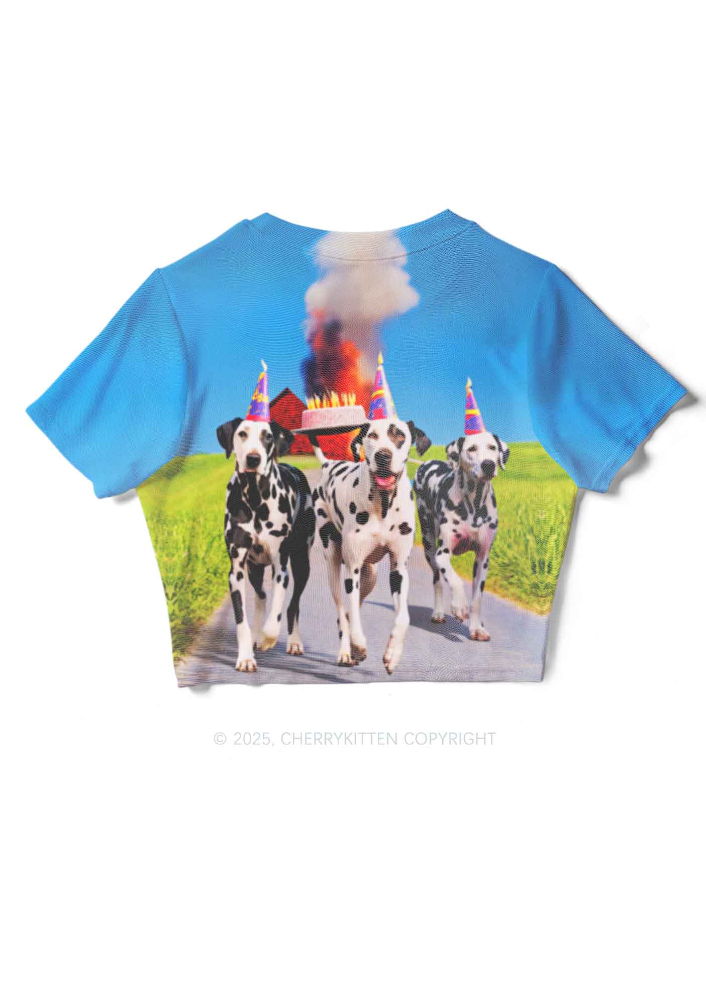 Dogs Birthday Party Y2K Mesh Crop Top Cherrykitten