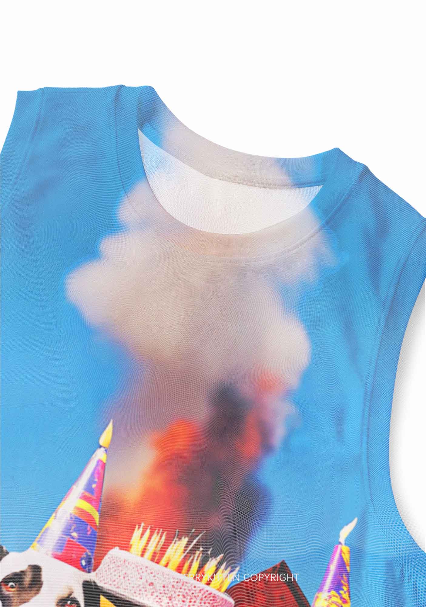 Dogs Birthday Party Y2K Mesh Muscle Tank Cherrykitten