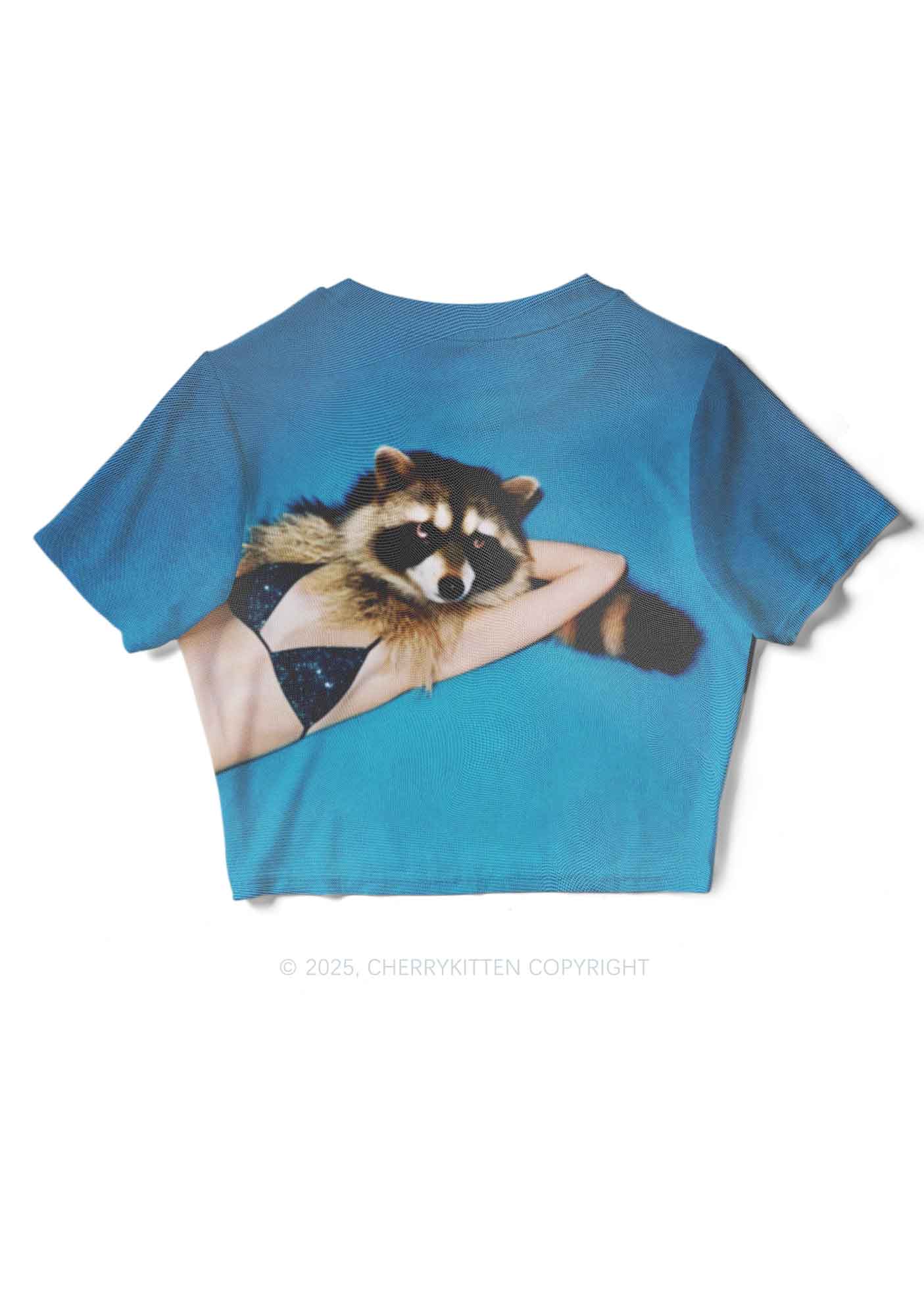 Bikini Raccoon Y2K Mesh Crop Top Cherrykitten
