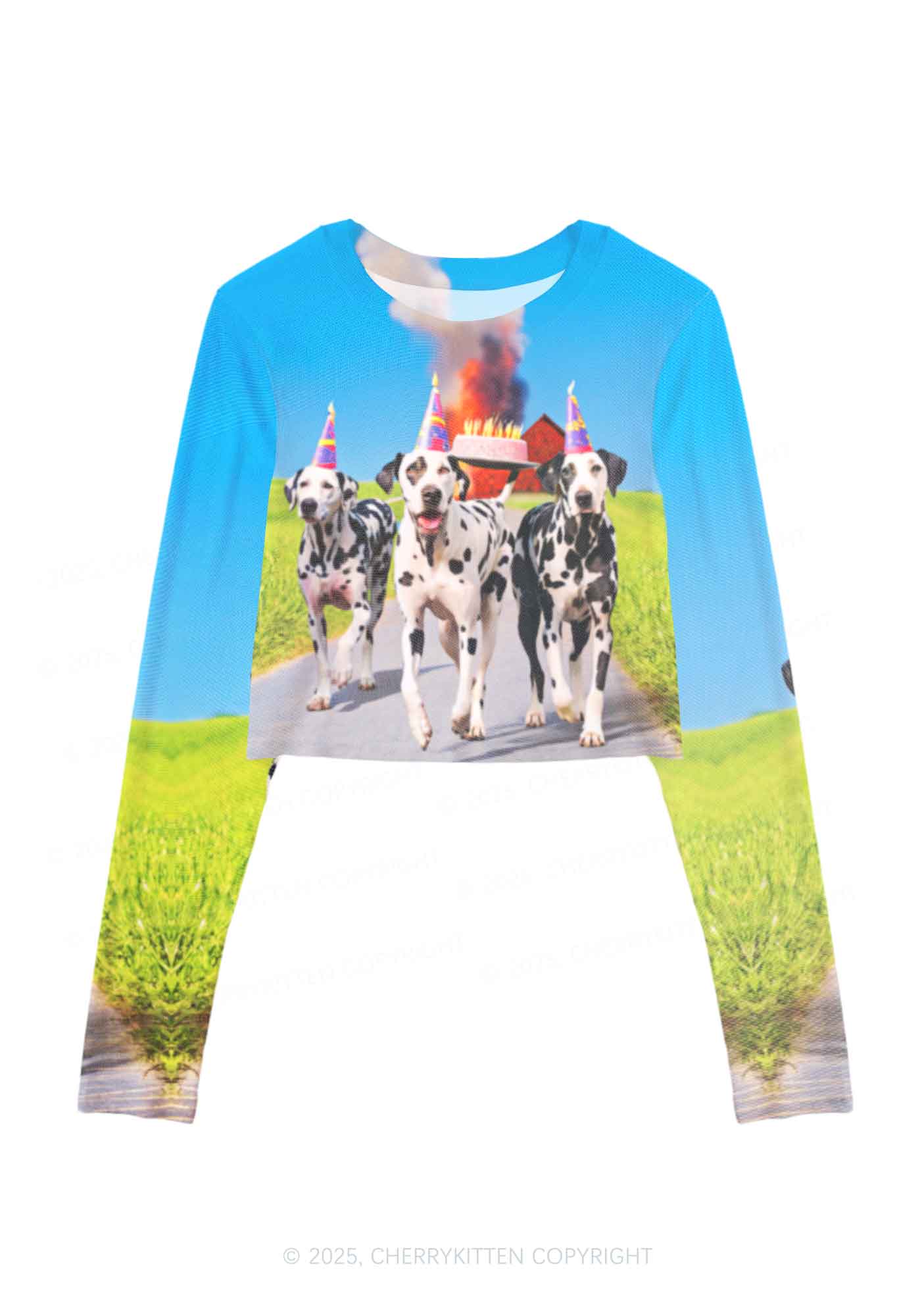 Dogs Birthday Party Y2K Mesh Long Sleeve Crop Top Cherrykitten