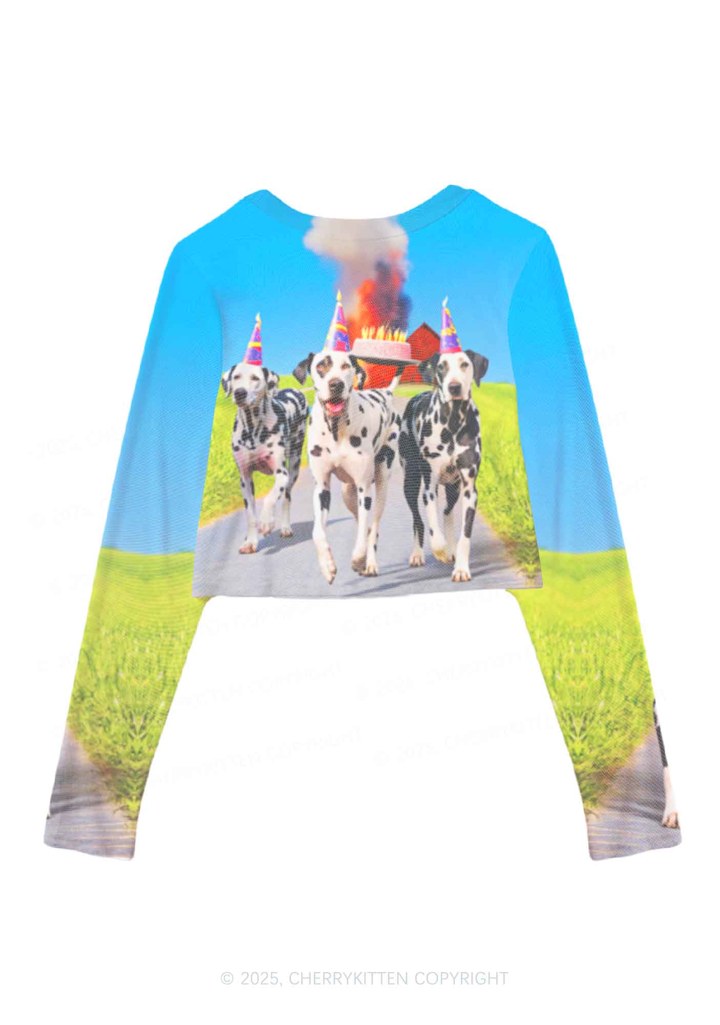 Dogs Birthday Party Y2K Mesh Long Sleeve Crop Top Cherrykitten