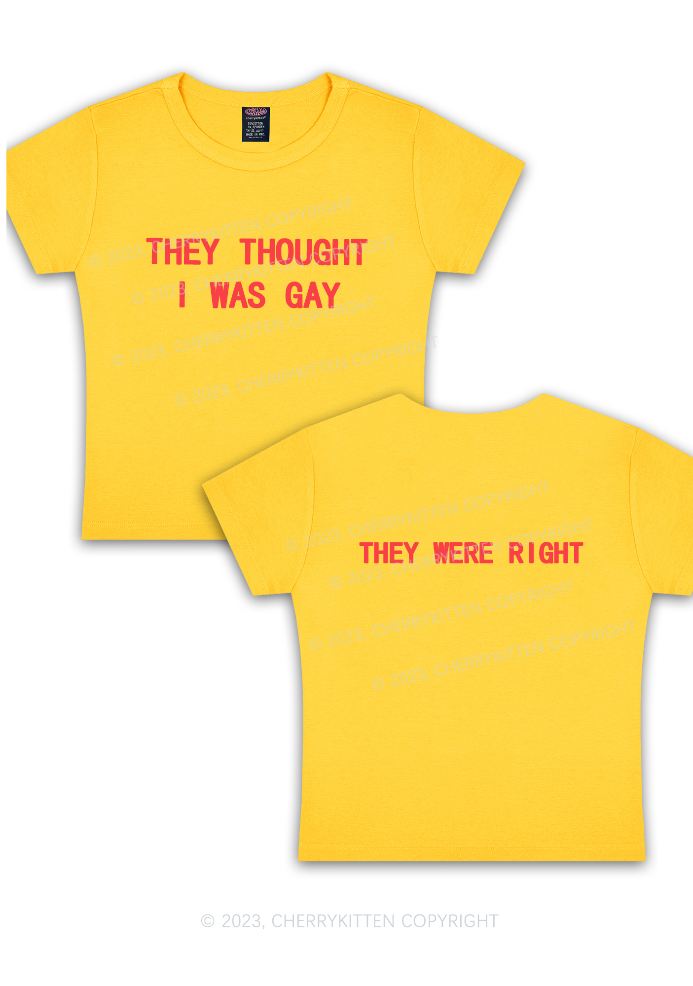 I Was Gay Two Sides Y2K Baby Tee Cherrykitten