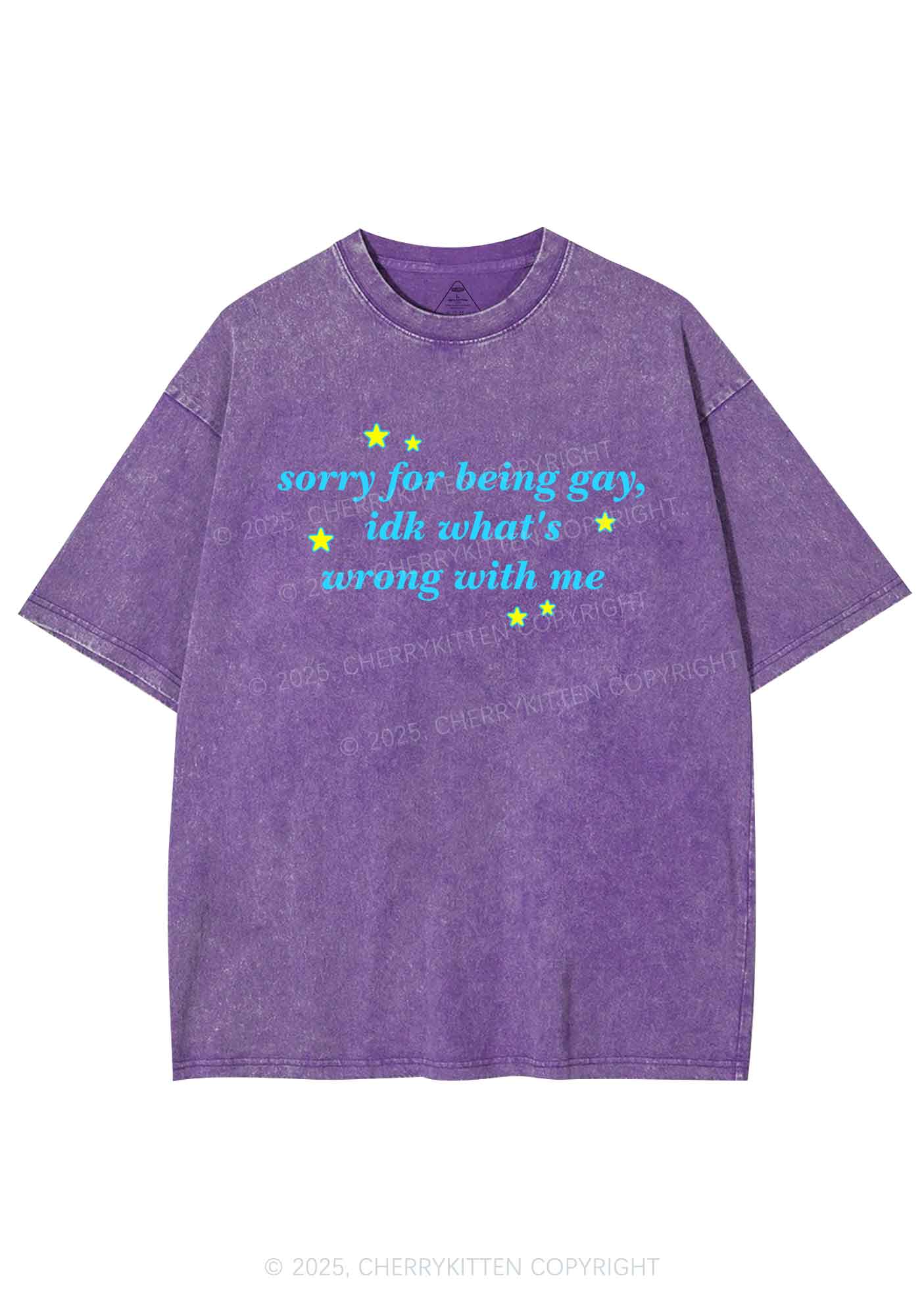 Sorry For Being Gay Pride Y2K Shirts Washed Tee Cherrykitten