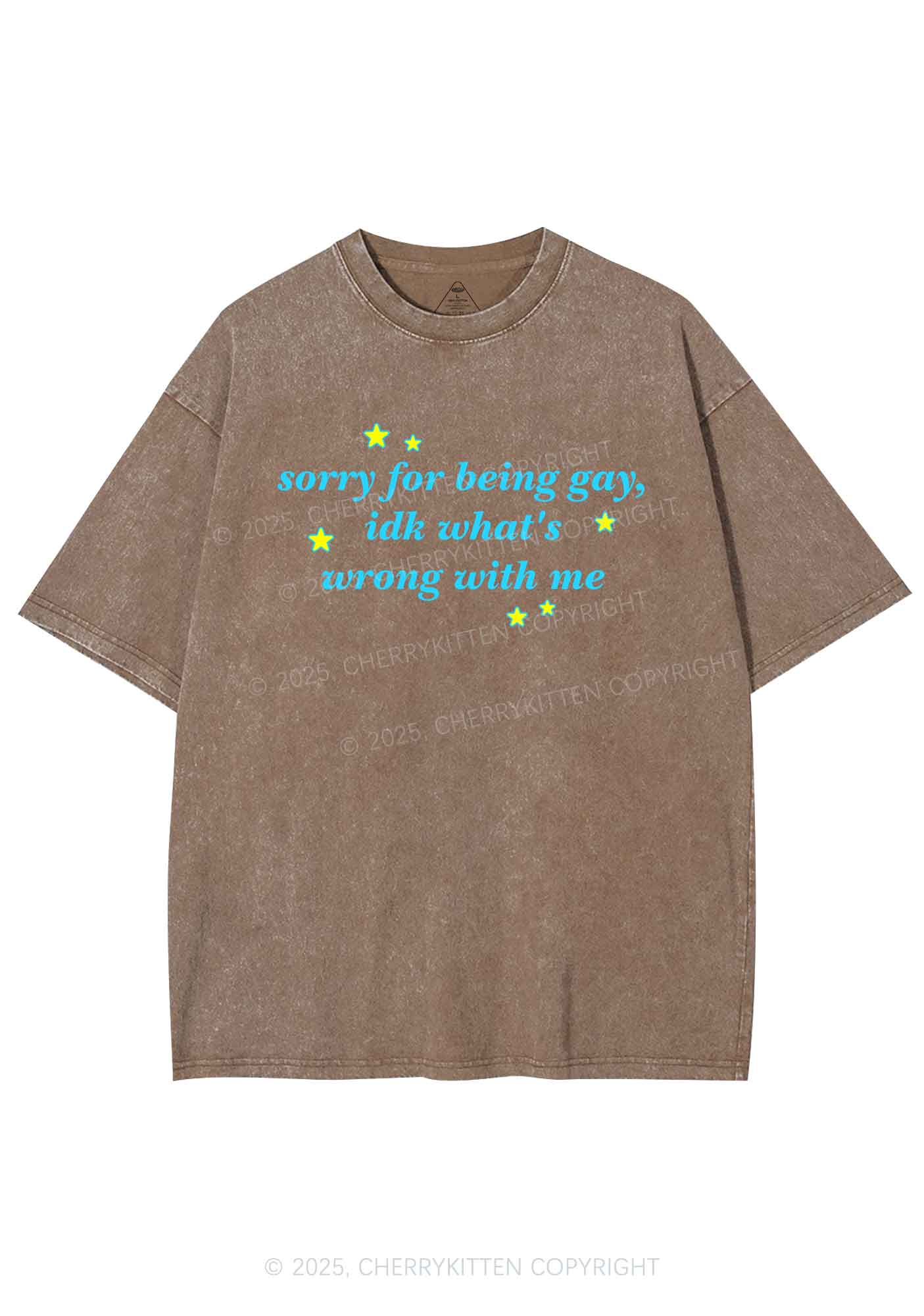 Sorry For Being Gay Pride Y2K Shirts Washed Tee Cherrykitten